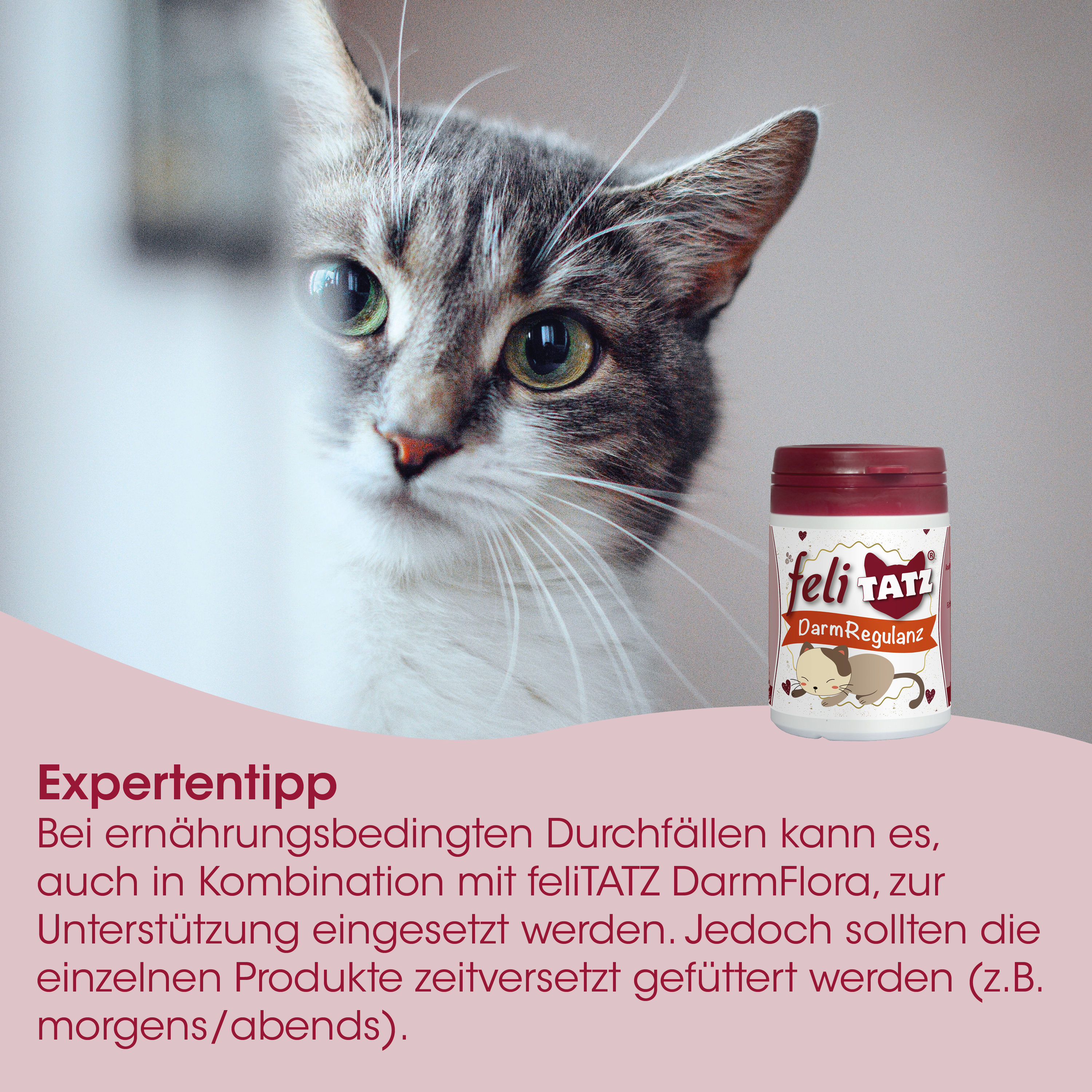feliTATZ RégulateurIntestinal 50 g