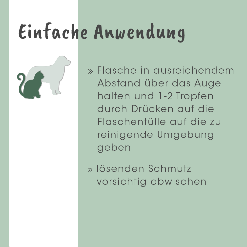 Werbung, Plakat, Bär, Säugetier, Tierwelt