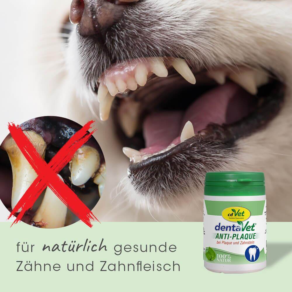 dentaVet Anti-Plaque 150 g