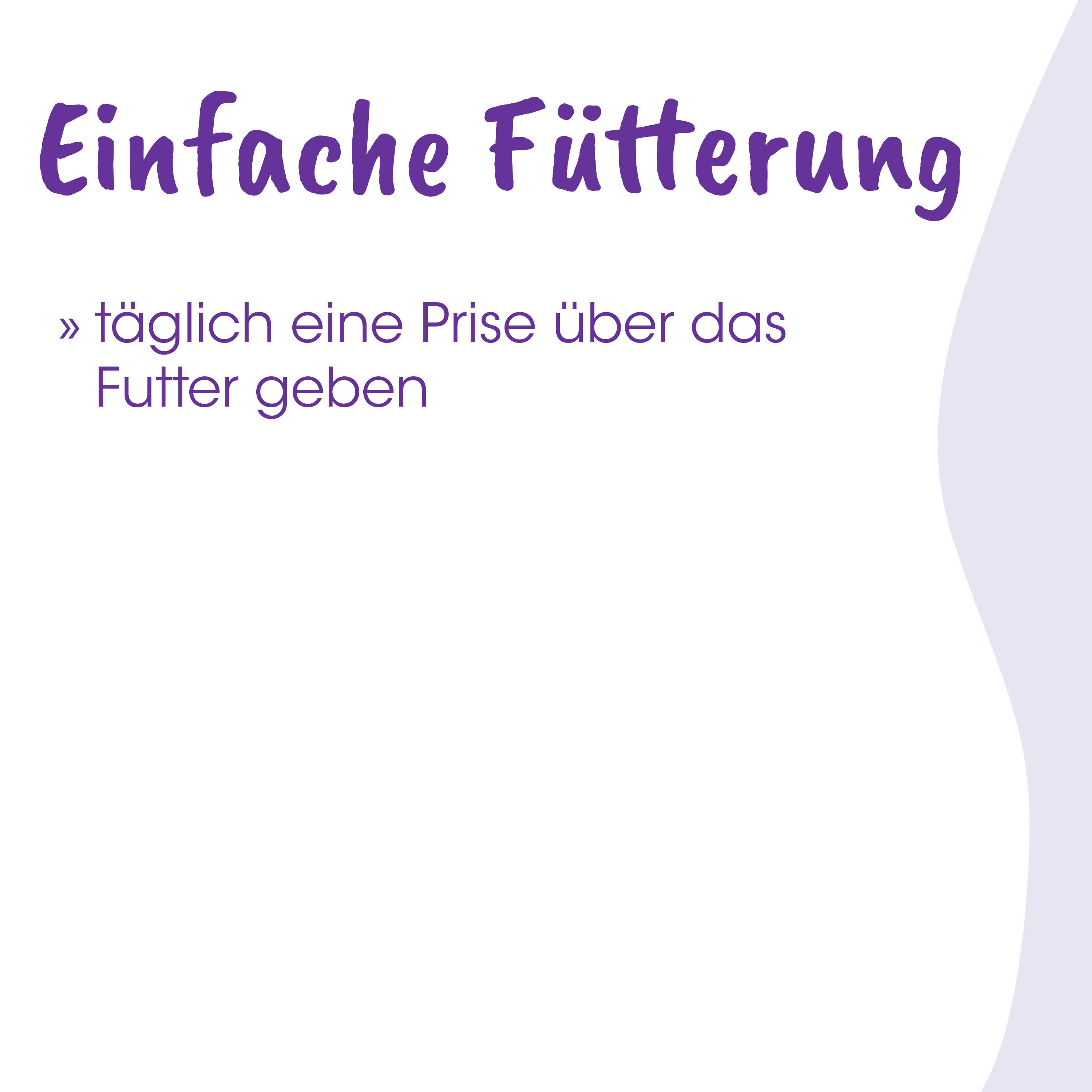 Futter, Hundefutter, Tierfutter, Tagesration, Futterbox