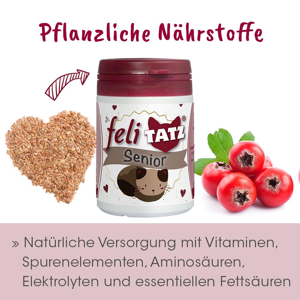 feliTATZ Senior 70 g