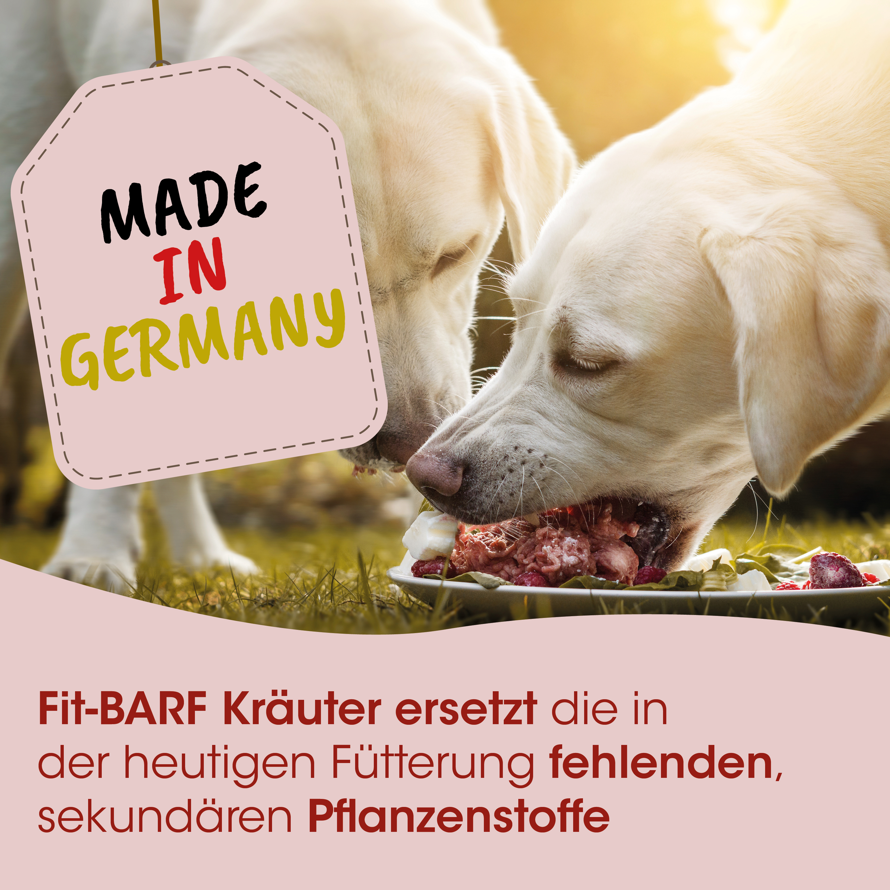 Hundefutter, Nassfutter, Fleischstücke, Körner, Made in Germany