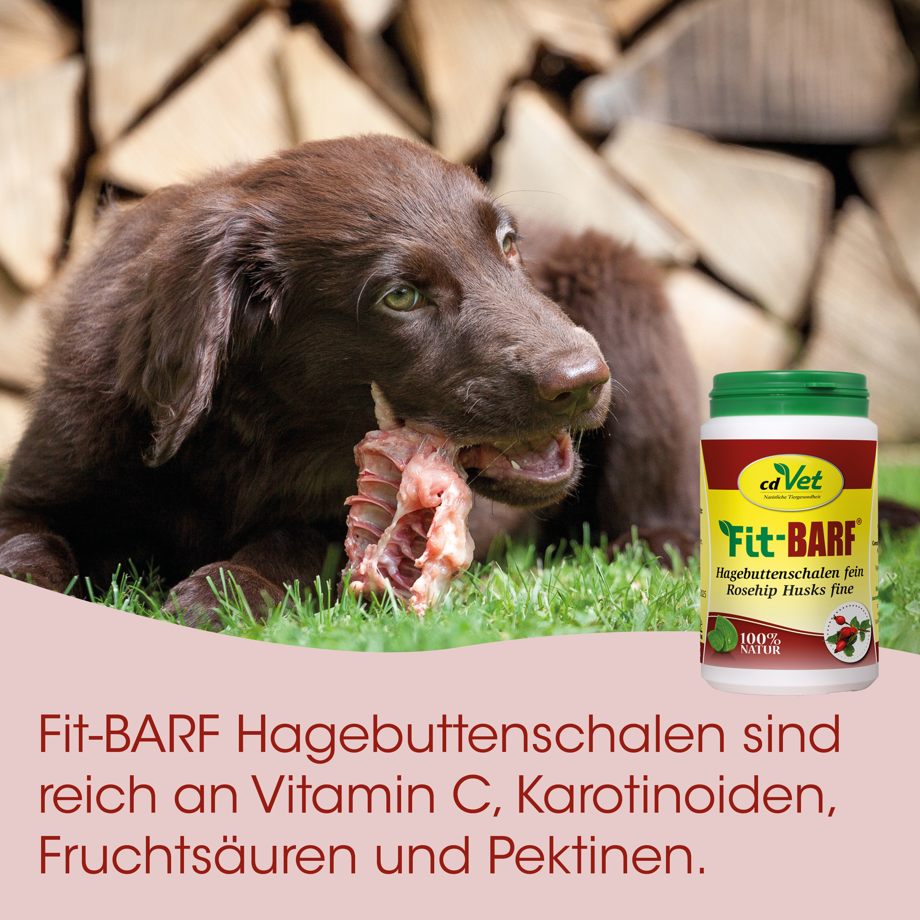Hunde-Nahrung, Hunde-Kauknochen, Hagebuttenschalen, Vitamine C, Nahrungsergänzung