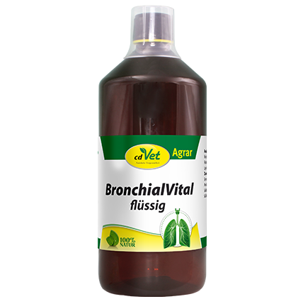 BronchialVital liquide 1 L