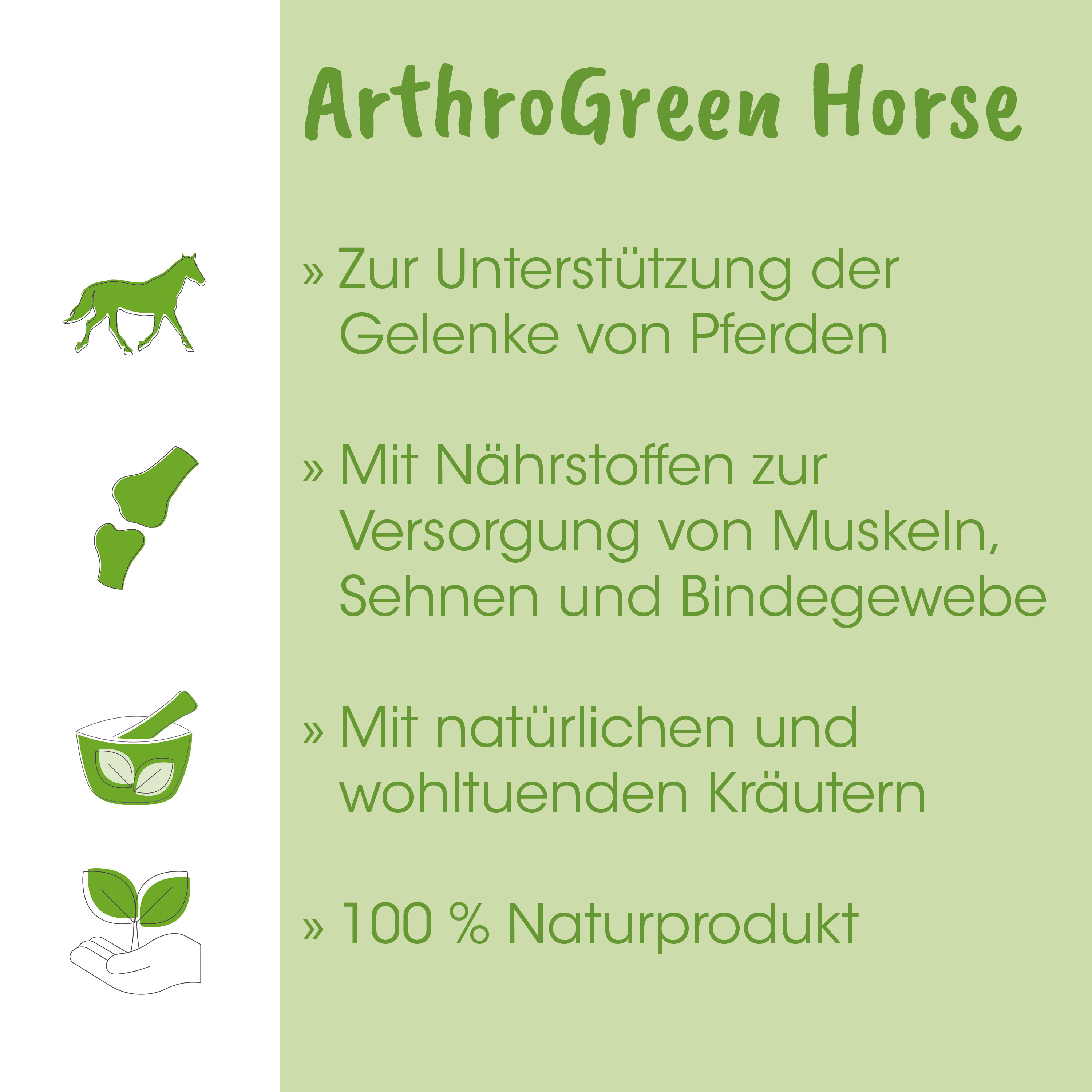 Pferd, Knochen, Schüssel, Blatt, Pflanze