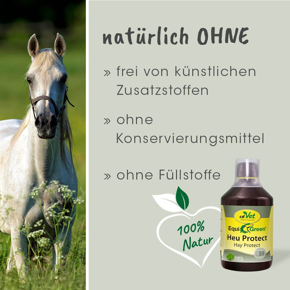 Pferd, Halter, Naturprodukt, Hay Protect, Pflegemittel
