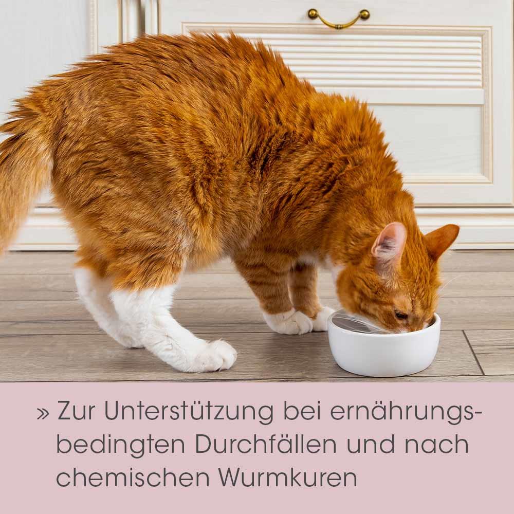 feliTATZ RégulateurIntestinal 50 g