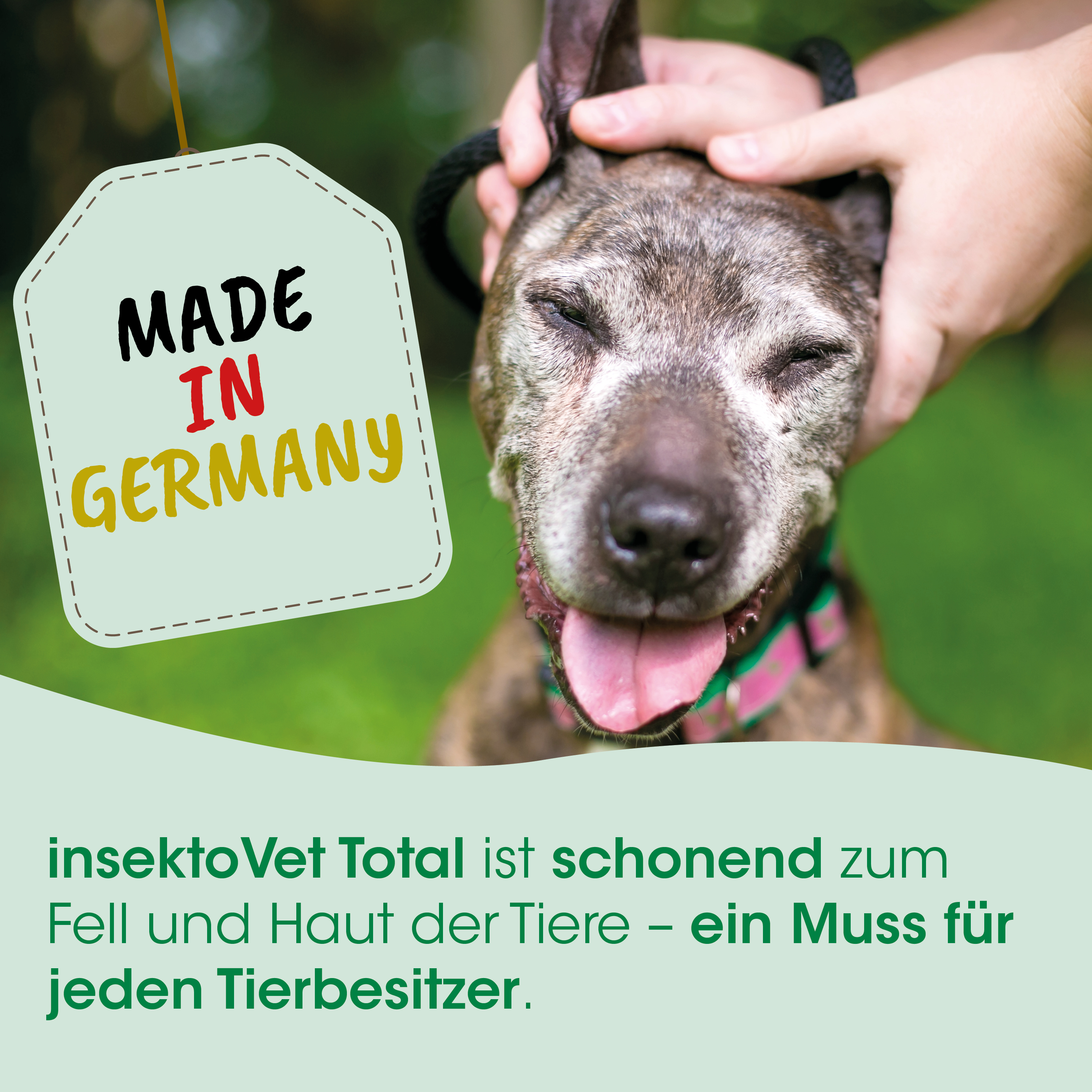 hund, halsband, leder, rosafarbene halsband, marke Deutschland