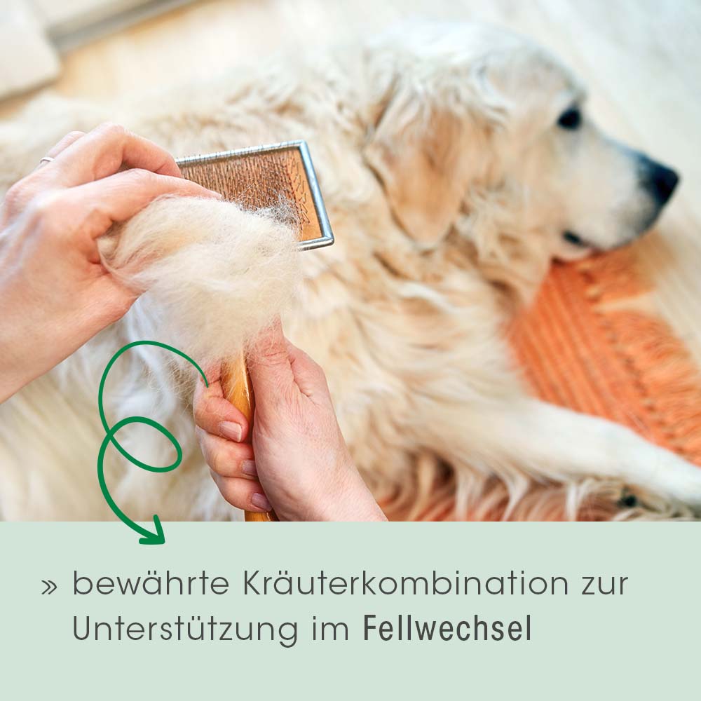 Pelage & Peau Vital Chien & Chat 150 g