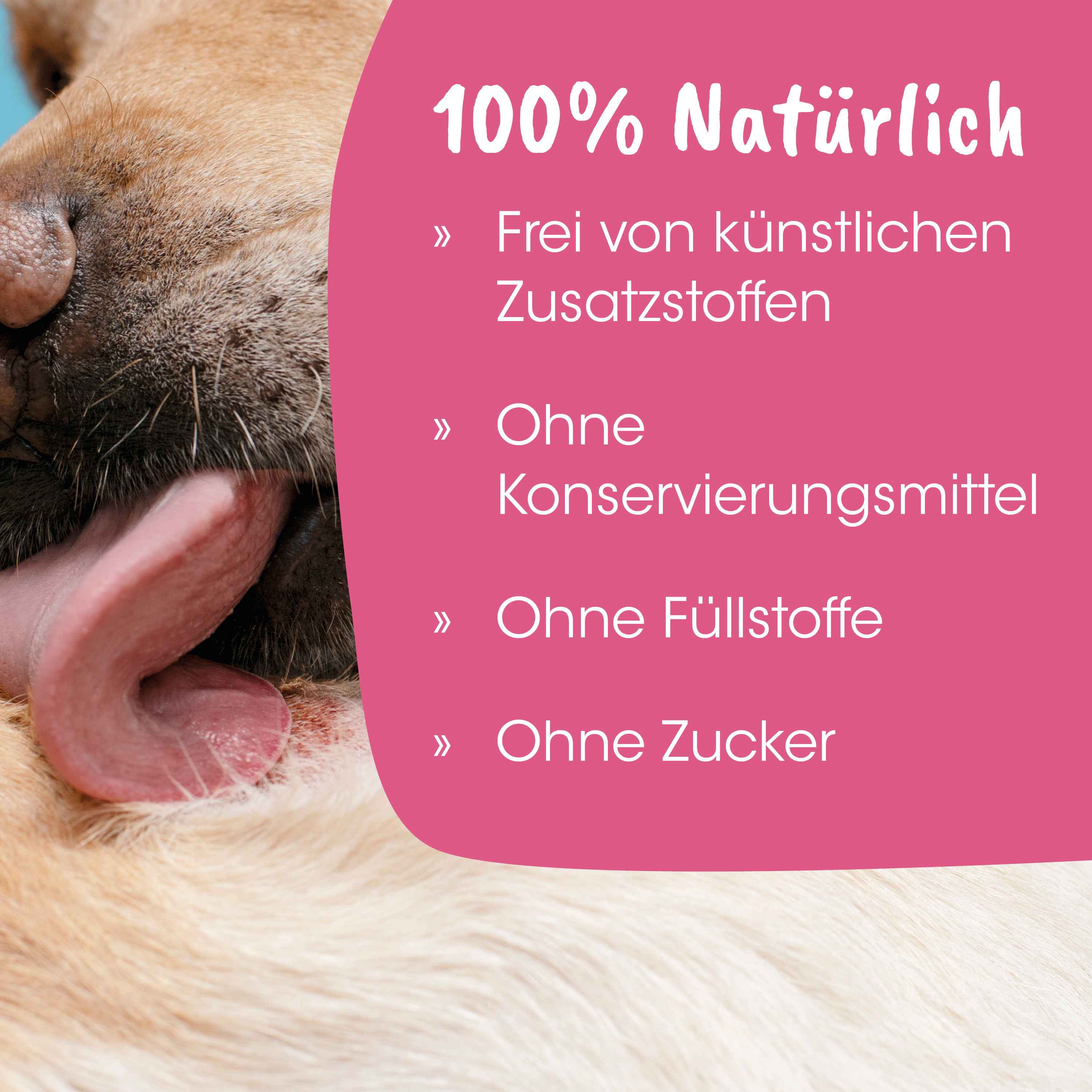 hunde, nasenpartie, l-fell, ohne konzervierungsmittel, ohne zusatzstoffe