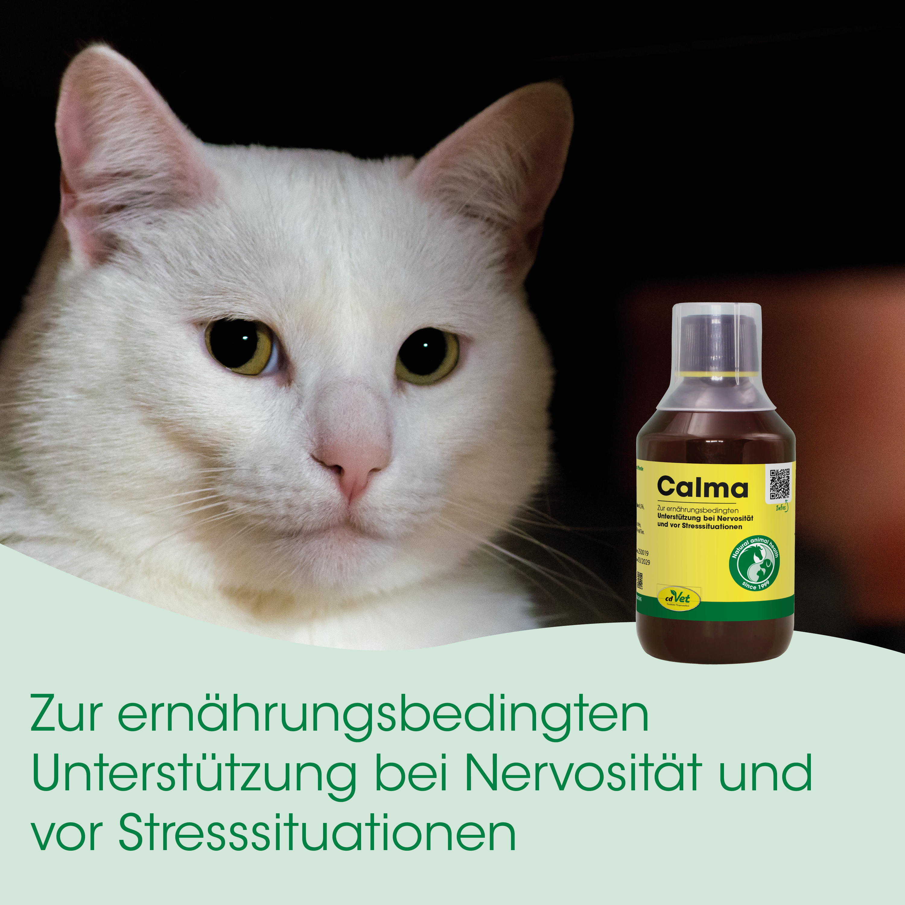 Katze, Nahrungsergänzung, Futterzusatz, Tiermedizin, Calma