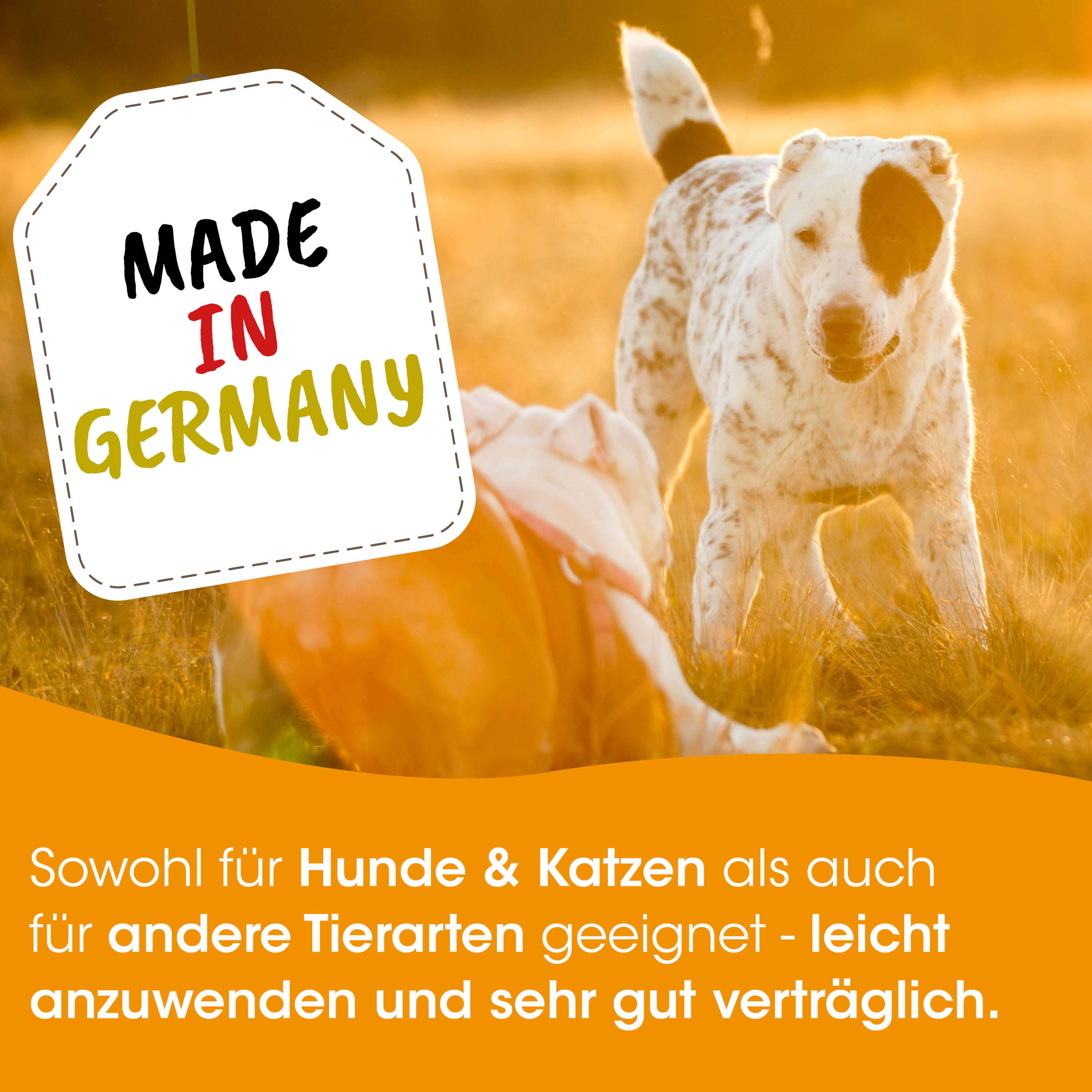 Hund, Katzentier, Made in Germany, Tiergesundheit, Tiernahrung