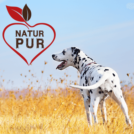 Fit-Crock Spécial Bœuf 10 kg