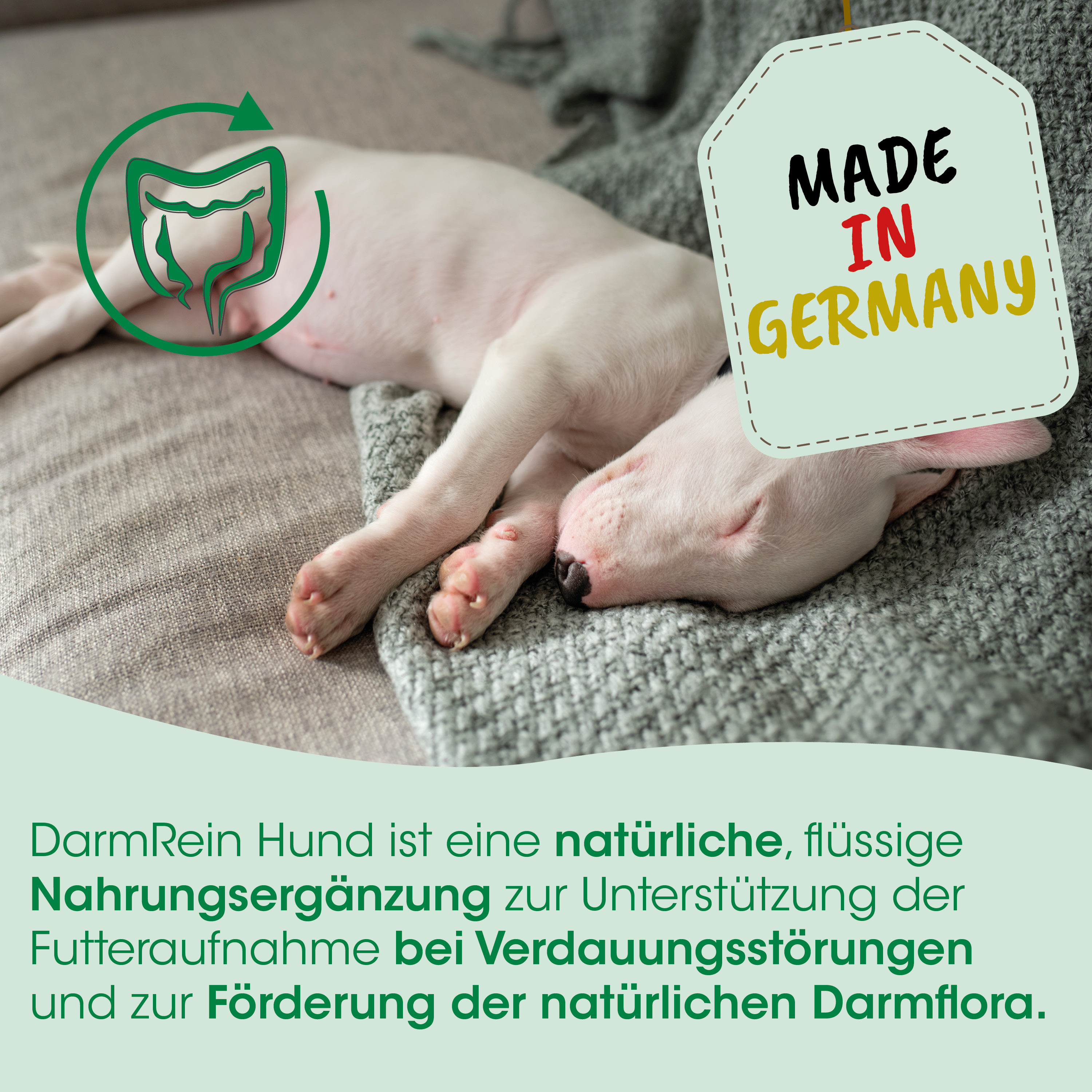 Hund, Pflege, Natürliche Nahrungsergänzung, Darmgesundheit, Made in Germany