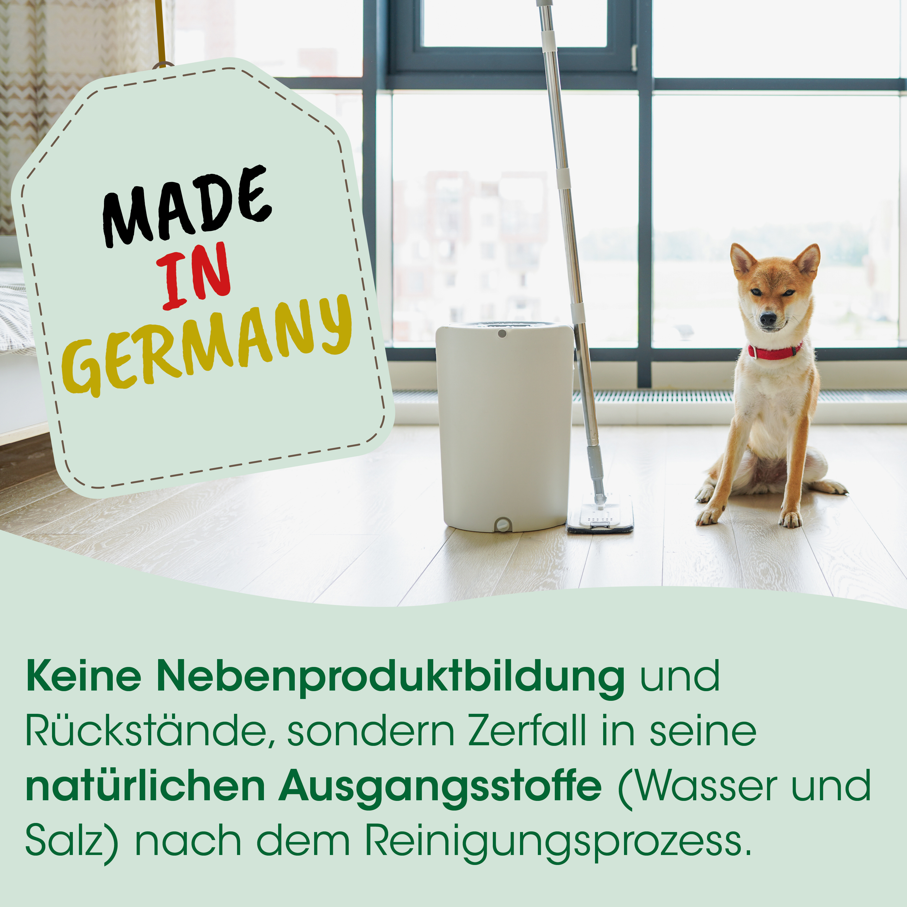 Hund, Haustier, roter Halsband, Knochen-Trockner, Innenraumszene