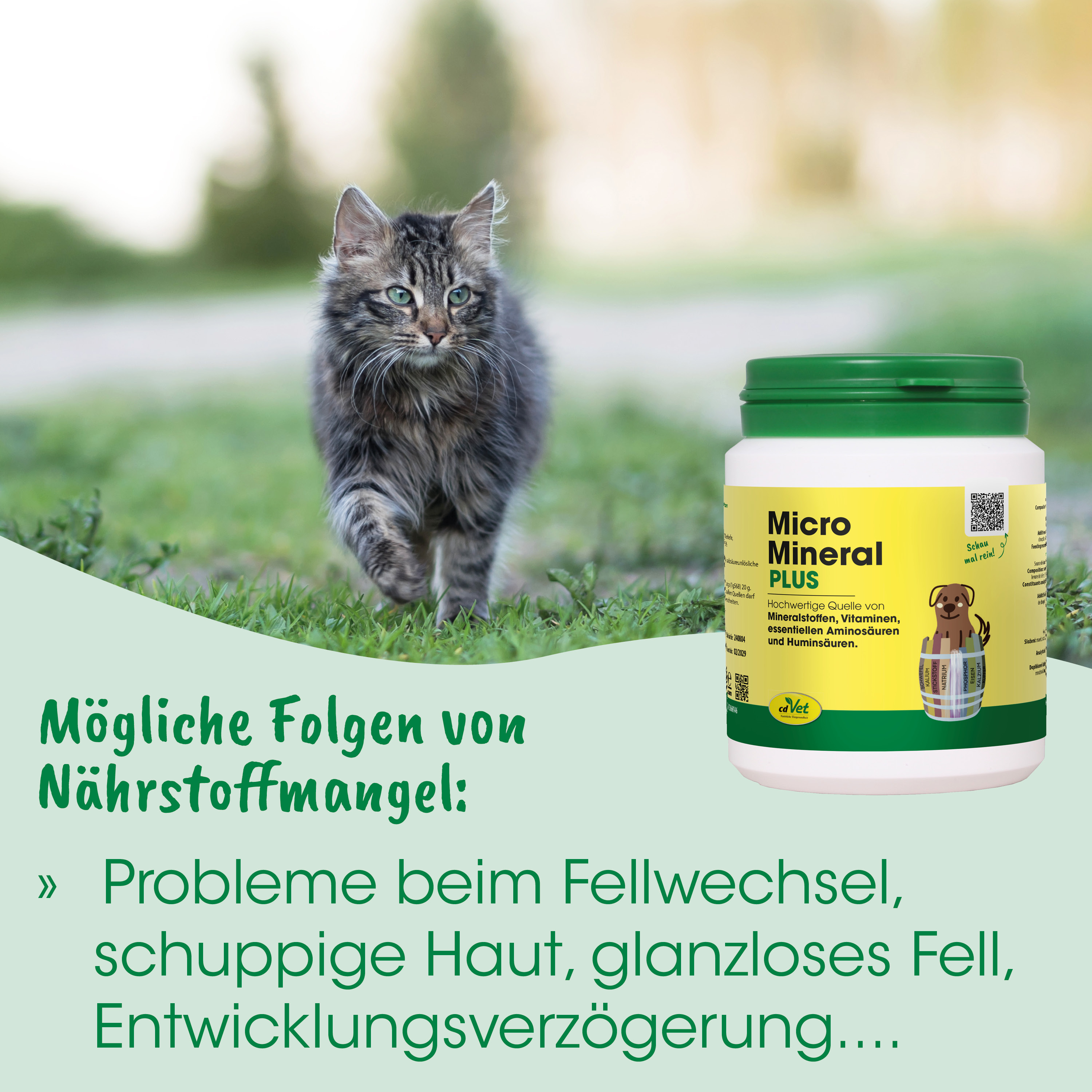 Katze, Tiernahrung, Mineralergänzung, grüner Behälter, Garten Außenbereich