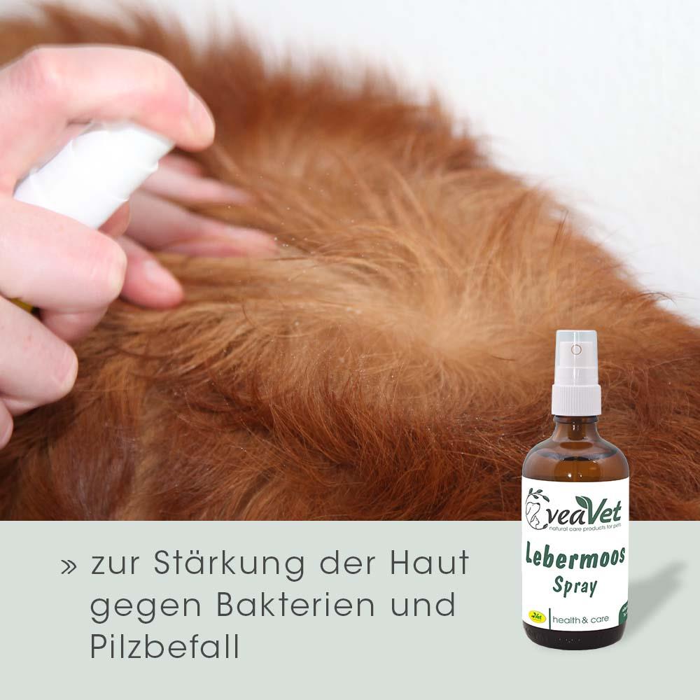VeaVet Hépatique Spray 100 ml