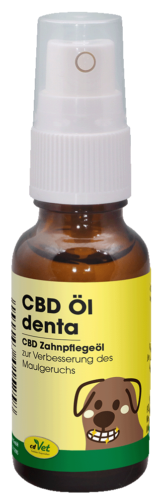 Huile CBD denta 20 ml