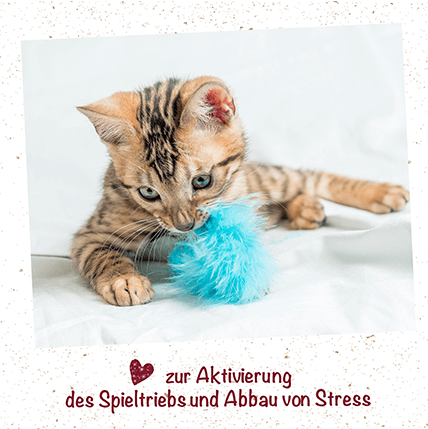 feliTATZ Spray de Cataire 100 ml