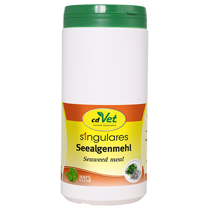 Flasche, Kräuterig, Pflanze, Essen, Ketchup