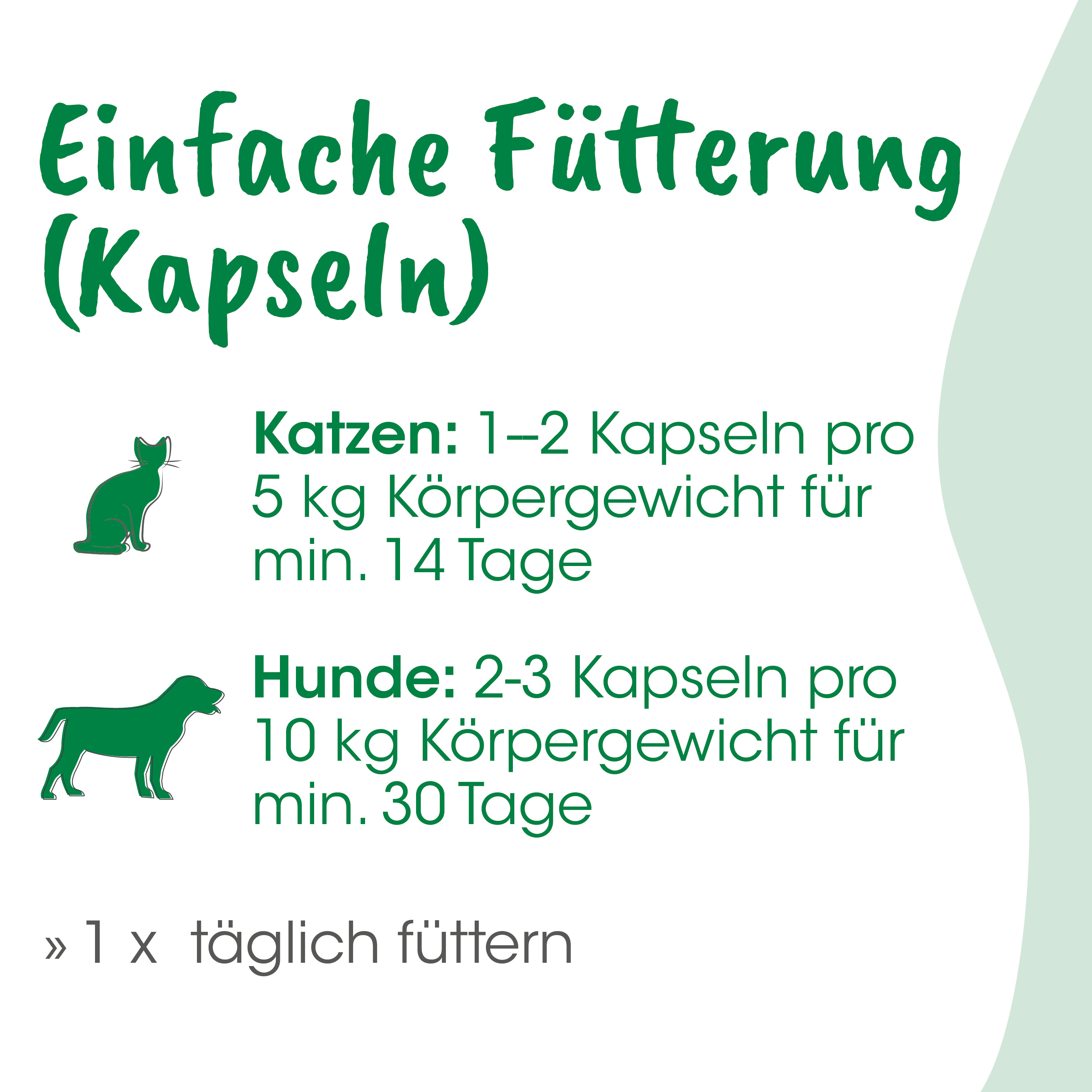 Kapseln, Tierernährung, Katzenfutter, Hunde, Futterplan