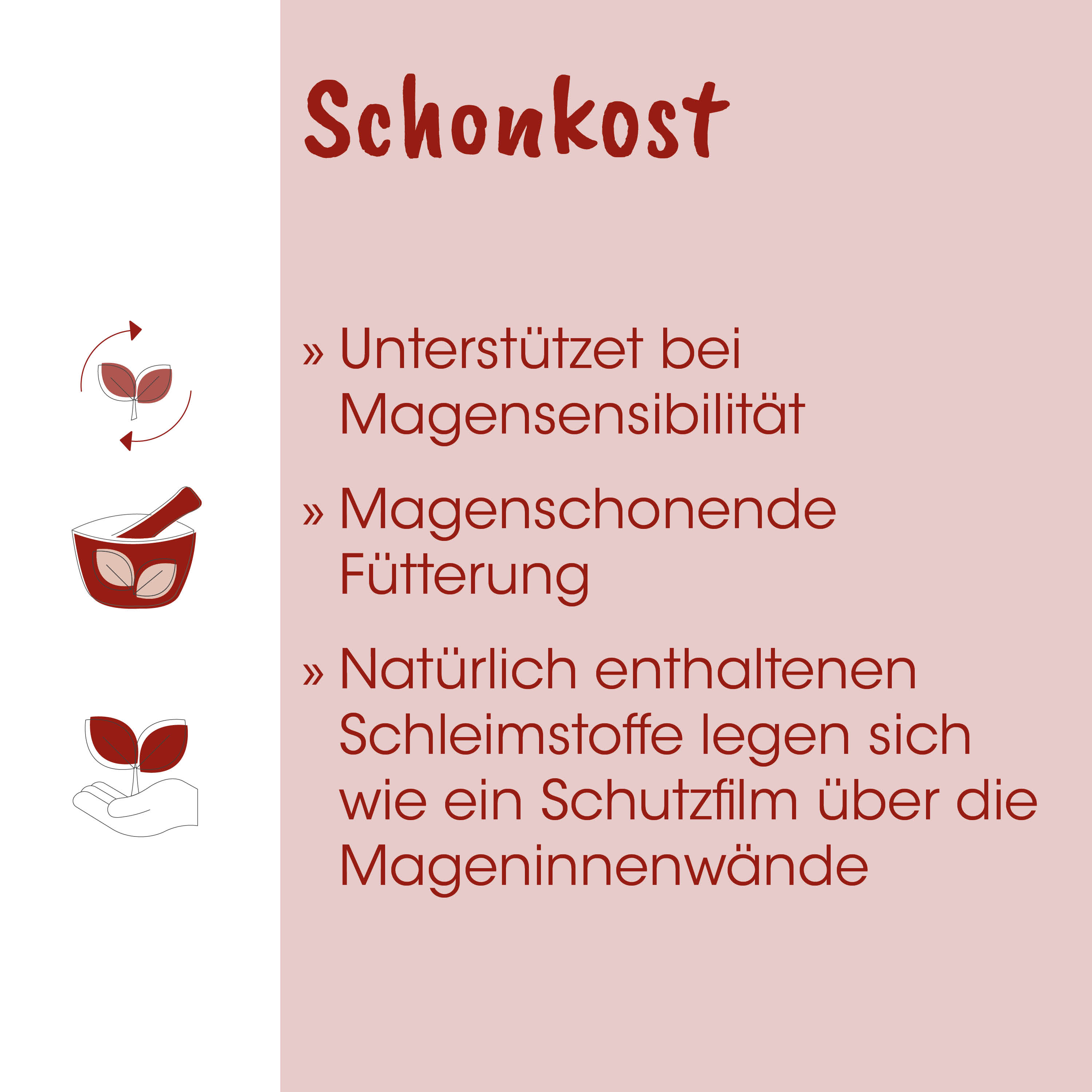 Schonkost, Magensensibilität, Magenfreundliche, Fütterung, Schleimstoffe