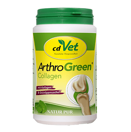ArthroGreen Collagène 130 g