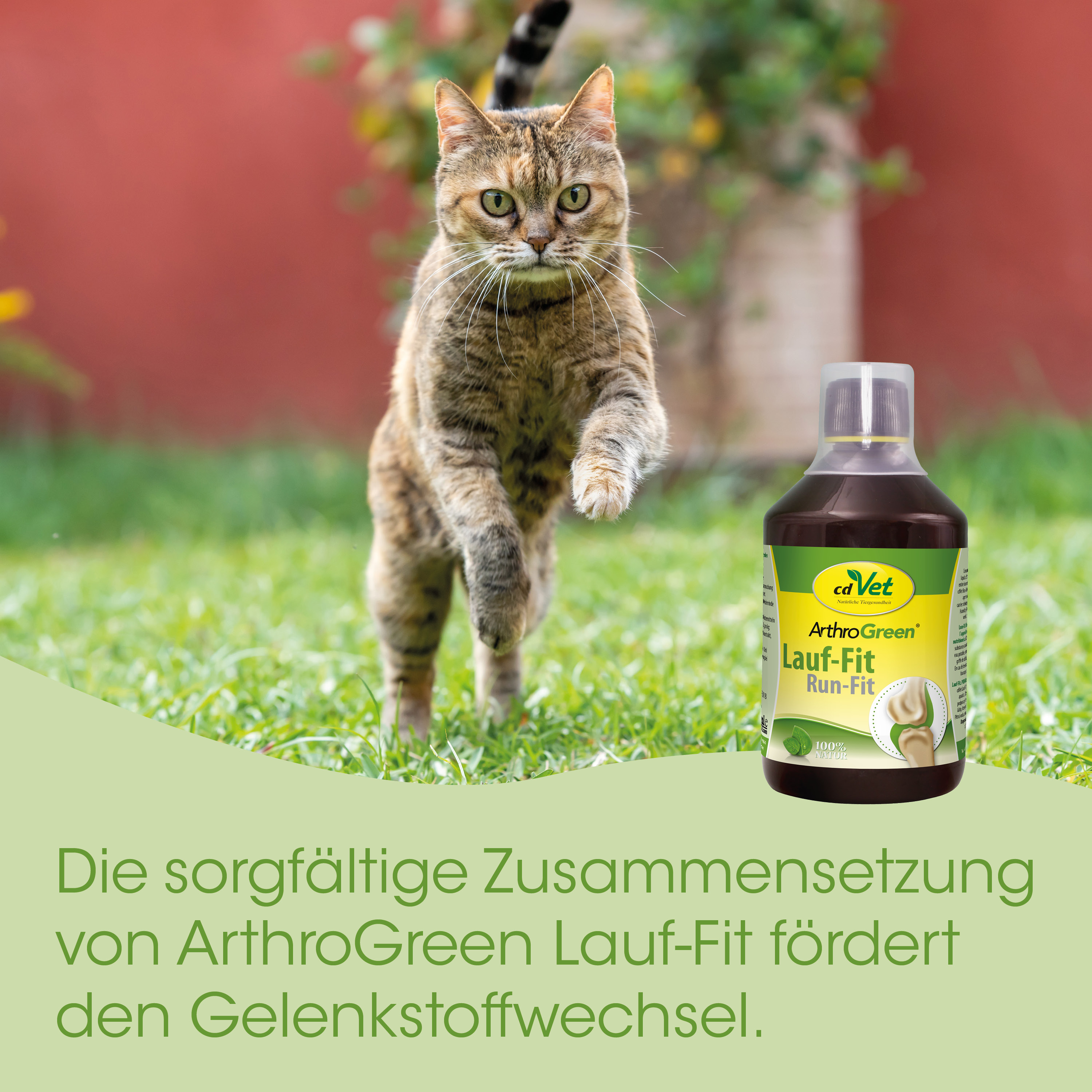 Katze, Katzenfutter, Flasche, Medikamentenflasche, ArthoGreen