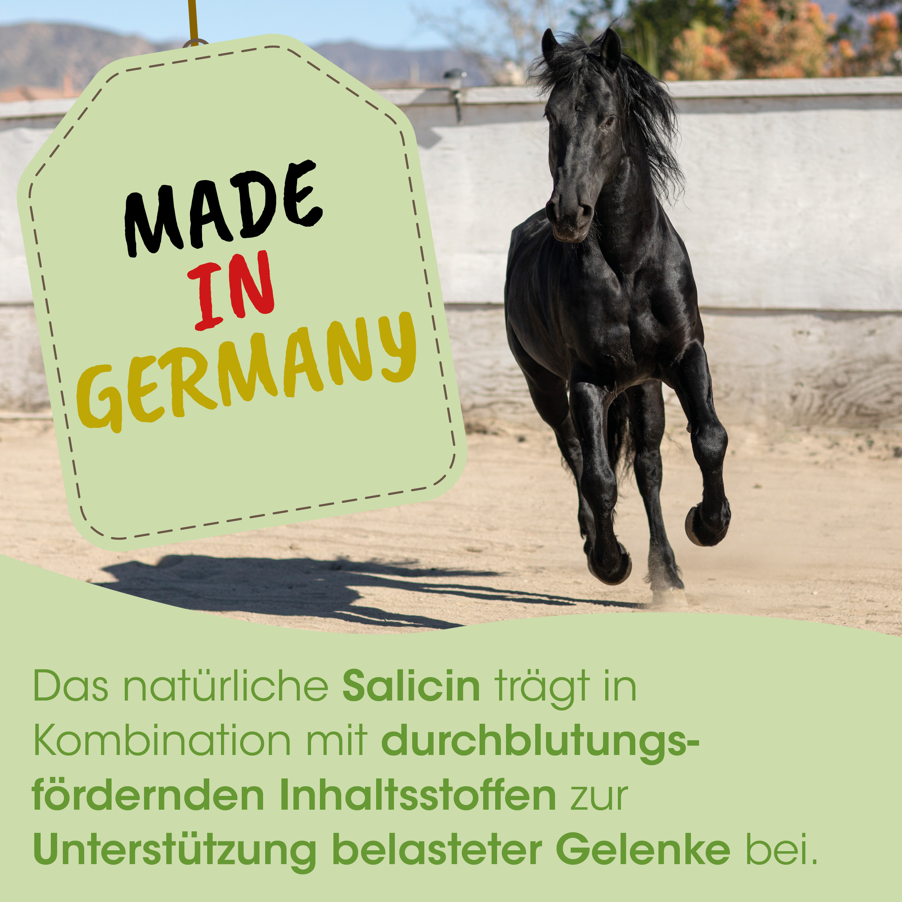 Pferd, schwarz, Pferdesport, Mähne, Outdoor