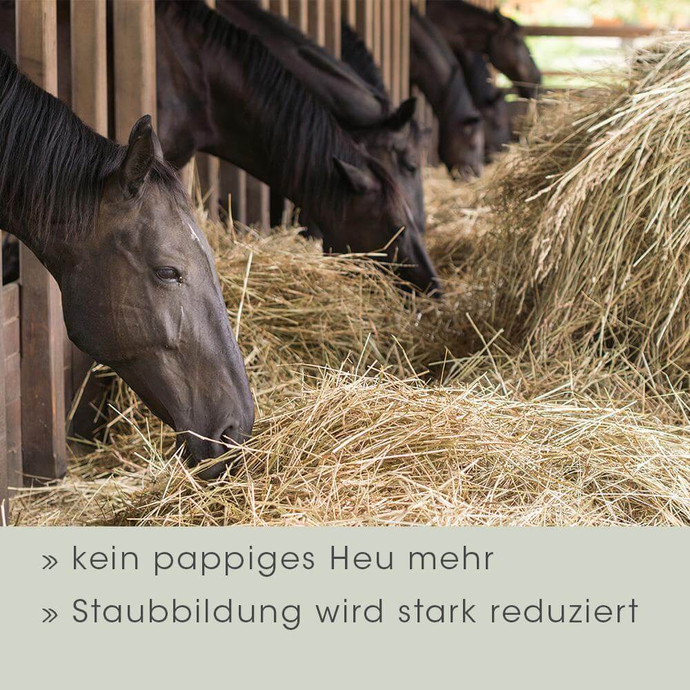 EquiGreen Foin Protect 5 L