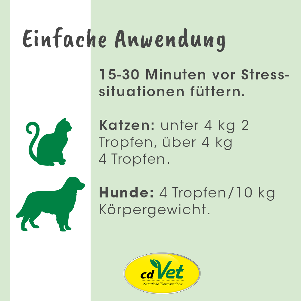 Werbung, Plakat, Hund, Säugetier, Haustier