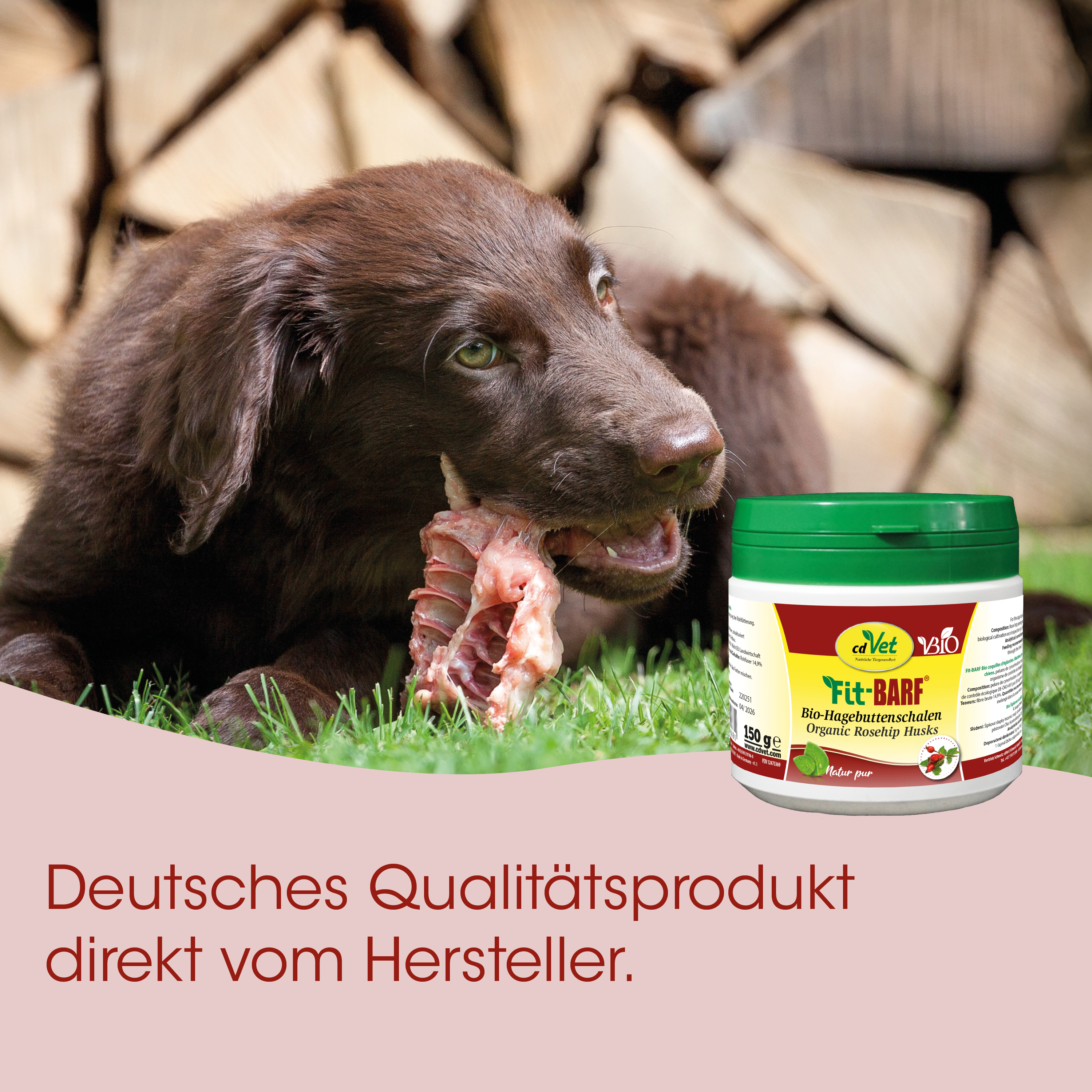 hund, braun, knochen, tierfutter, behälter