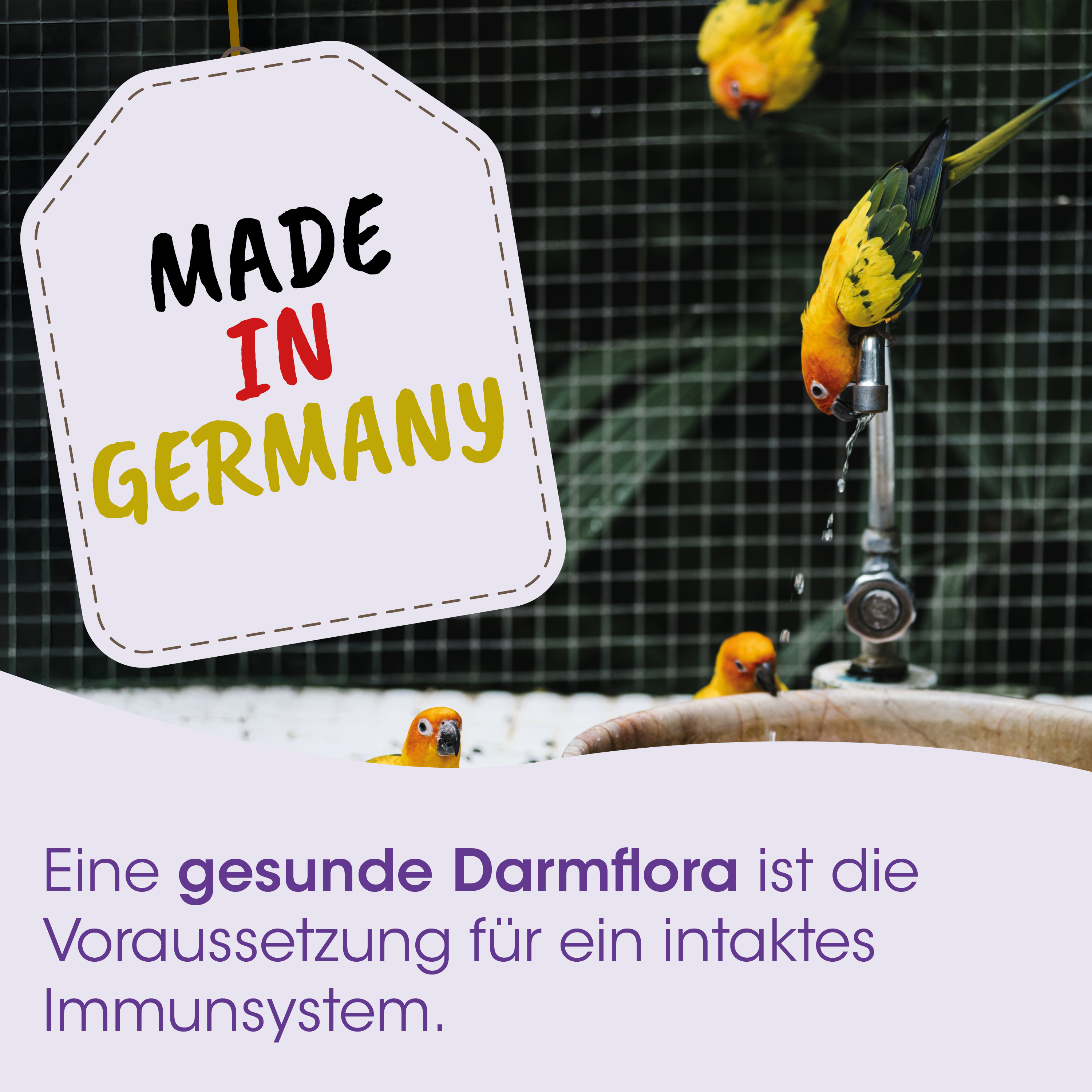 made in germany, papageien, wasserhahn, zaun, anhaenger