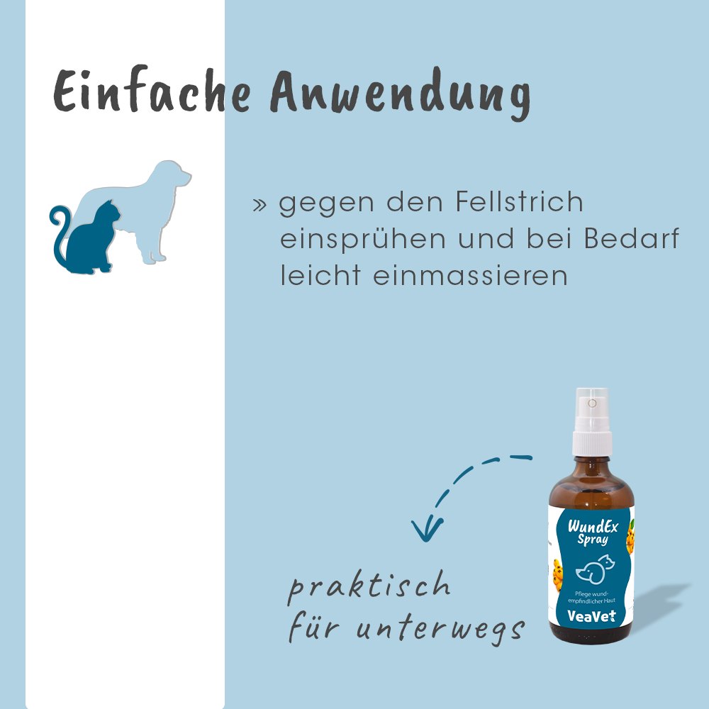 VeaVet PlaieEx Spray 100 ml