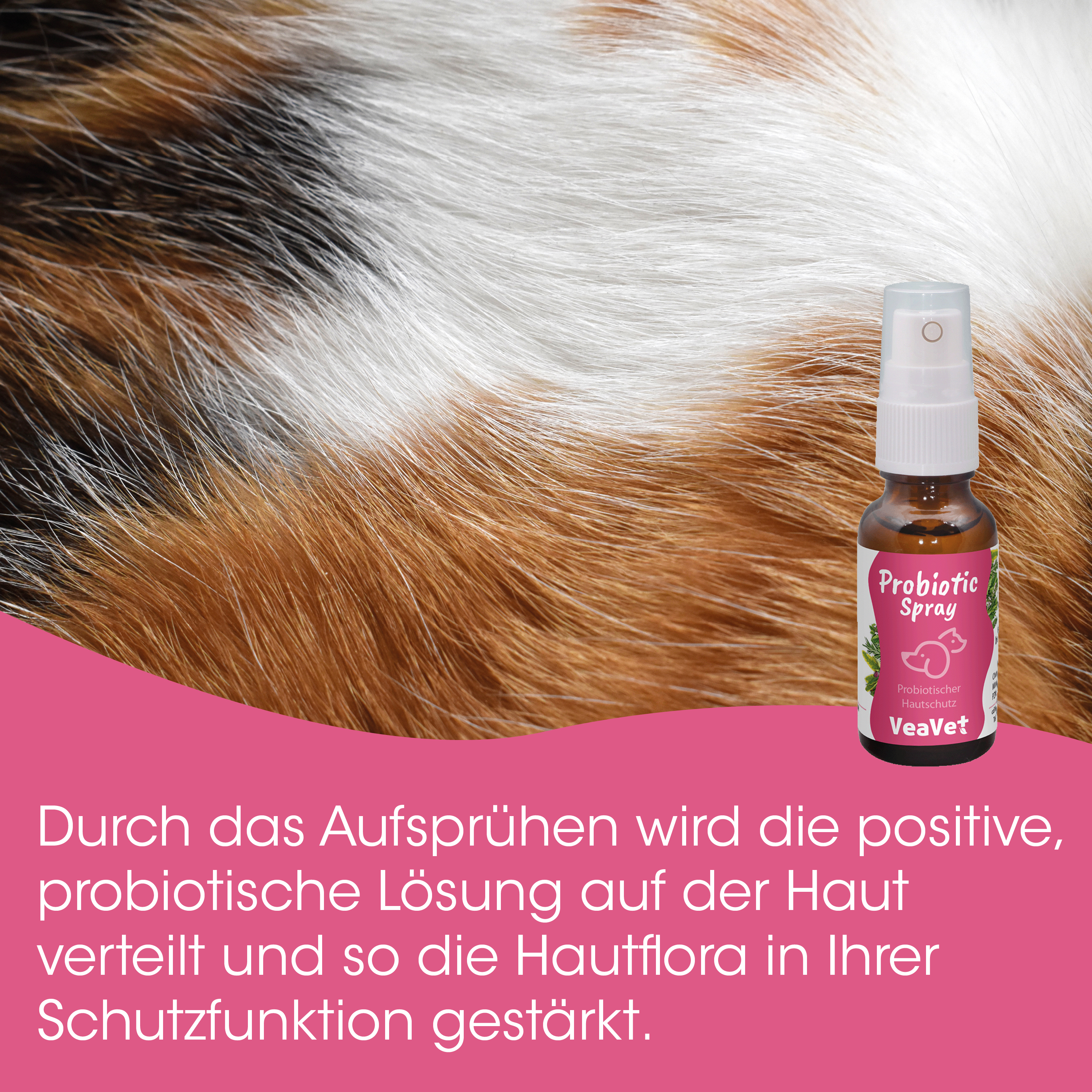 Probiotic Spray, Hunde-Hautschutz, Haustierpflege, Hautschutz, Spray