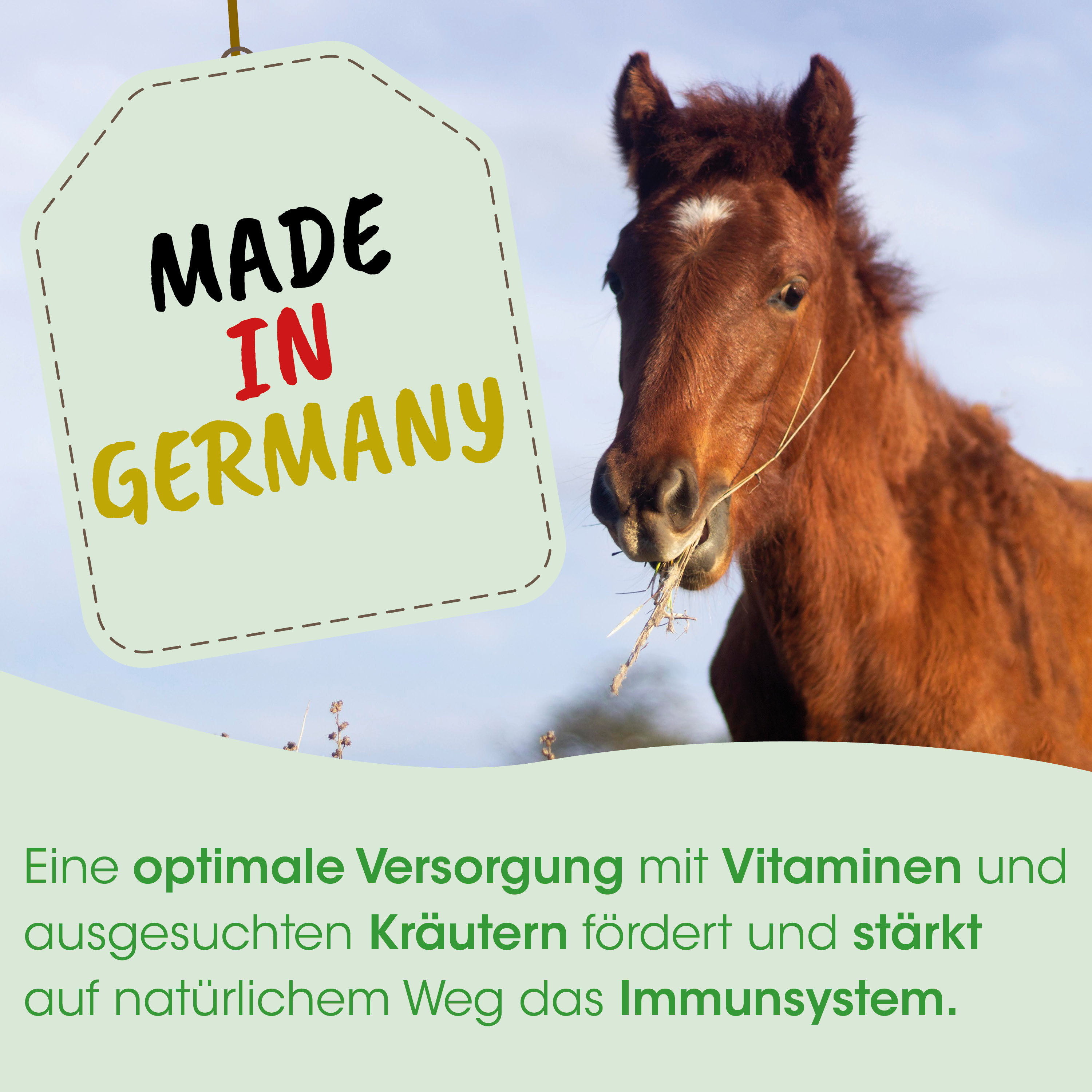 Pferd, braun, Heu, Etikett, Made in Germany