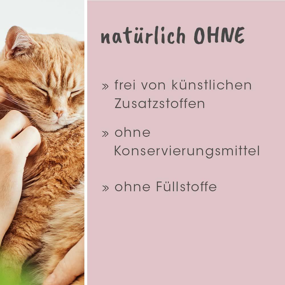 feliTATZ Stop Odeur 500 ml