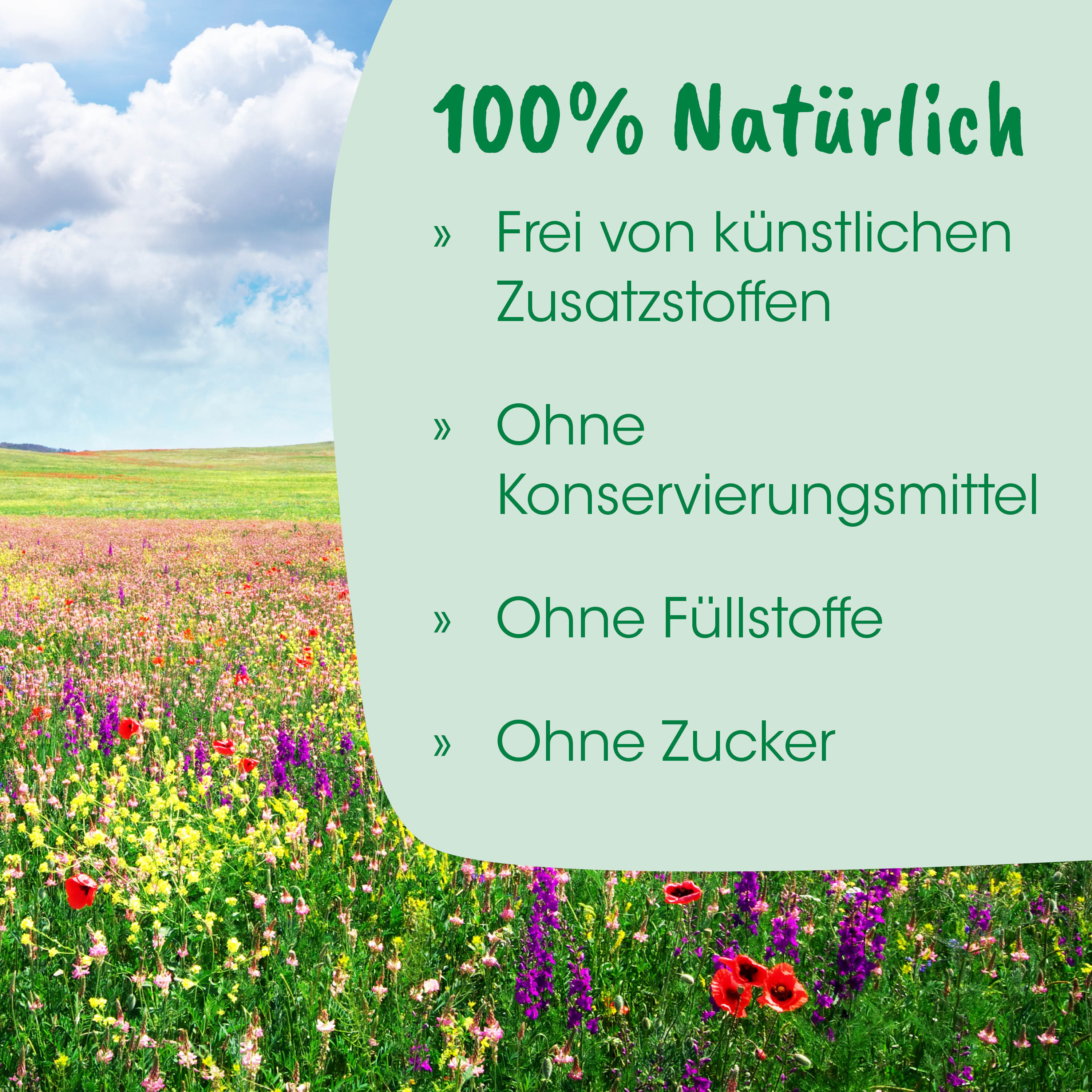 bio, natur, blumenfeld, meerblumen, naturprodukt