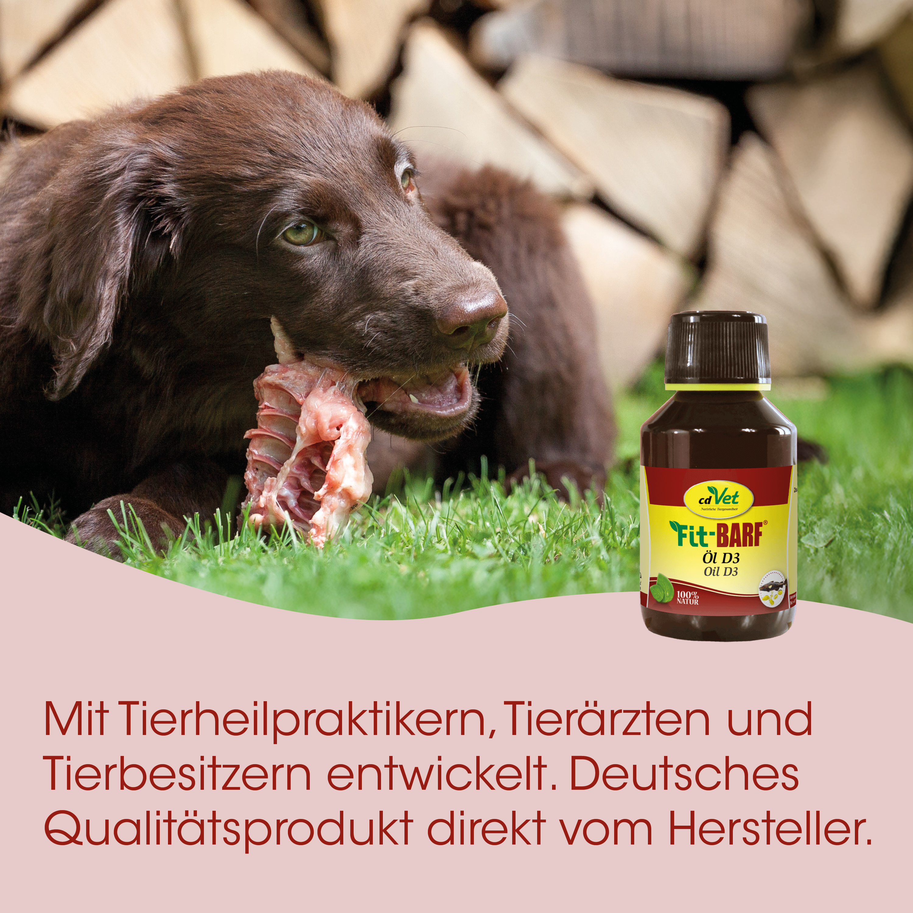 Hund, Knochen, Öl, Flasche, Tierpflege