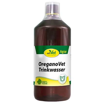 Essen, Würzen, Sirup, Flasche, Shaker