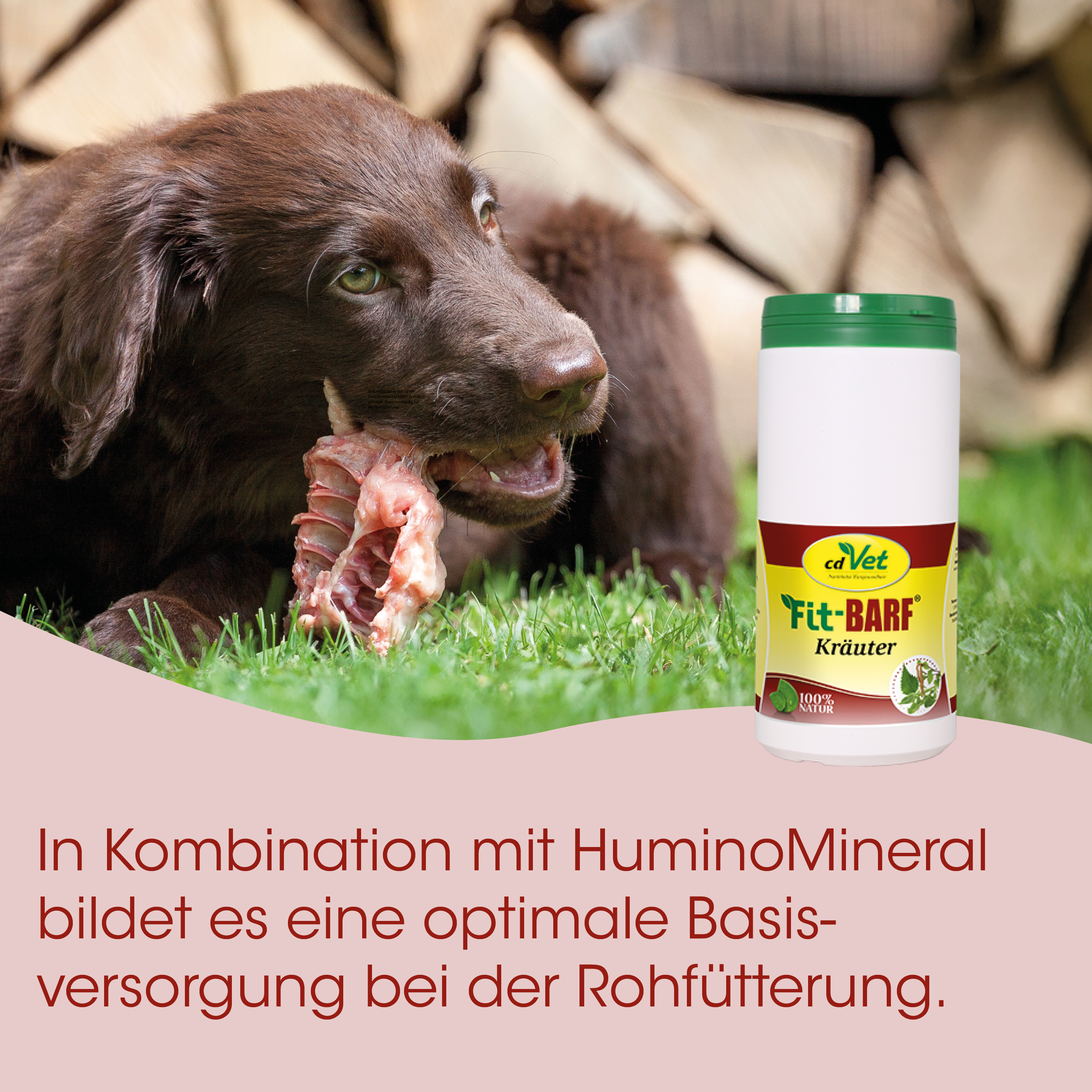 Hund, Kau-Snack, Knochen, Rindfleisch, Futterzusatz