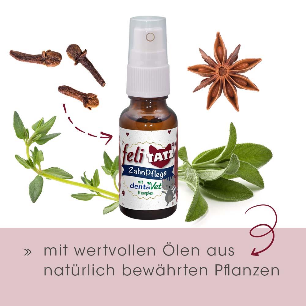 feliTATZ Soin Dentaire 20ml
