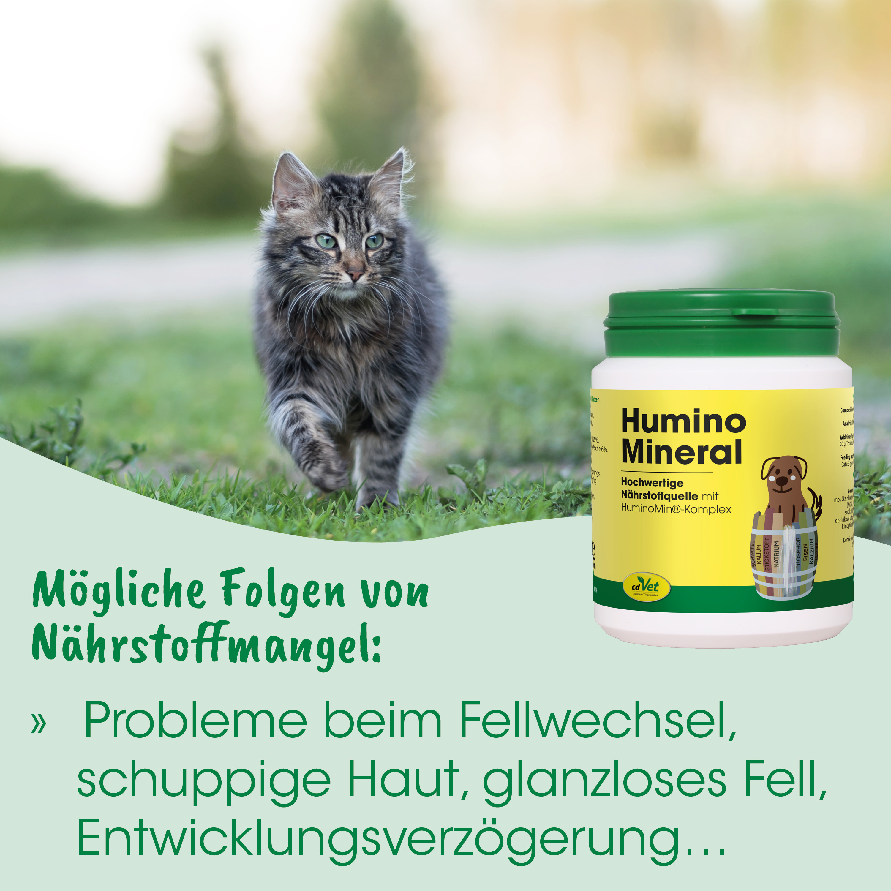 Katze, Katzenfutter, Humino Mineral, Flasche, grüner Deckel