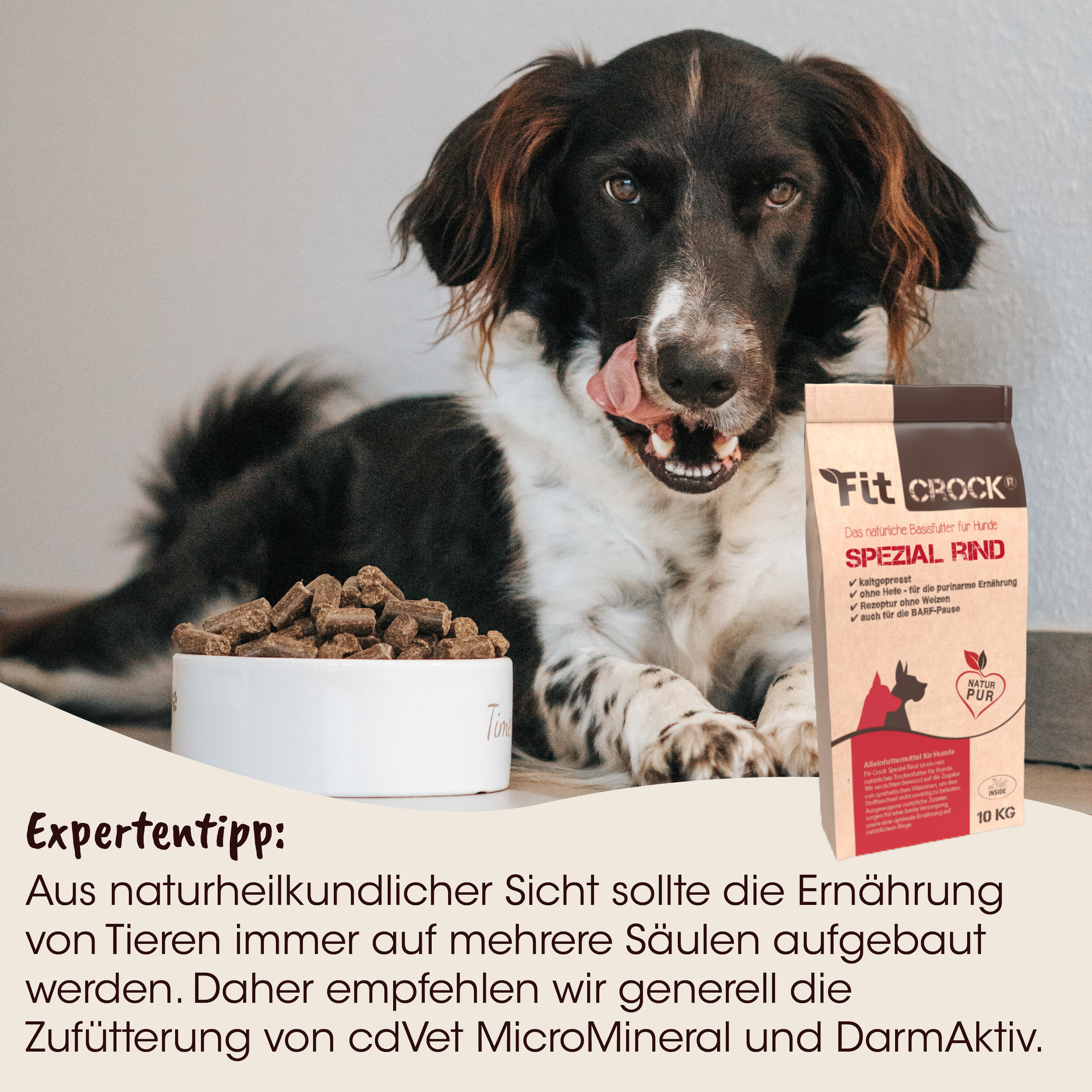 Hund, Tierfutter, Knochenformen, Nahrung, Ernährungshilfe