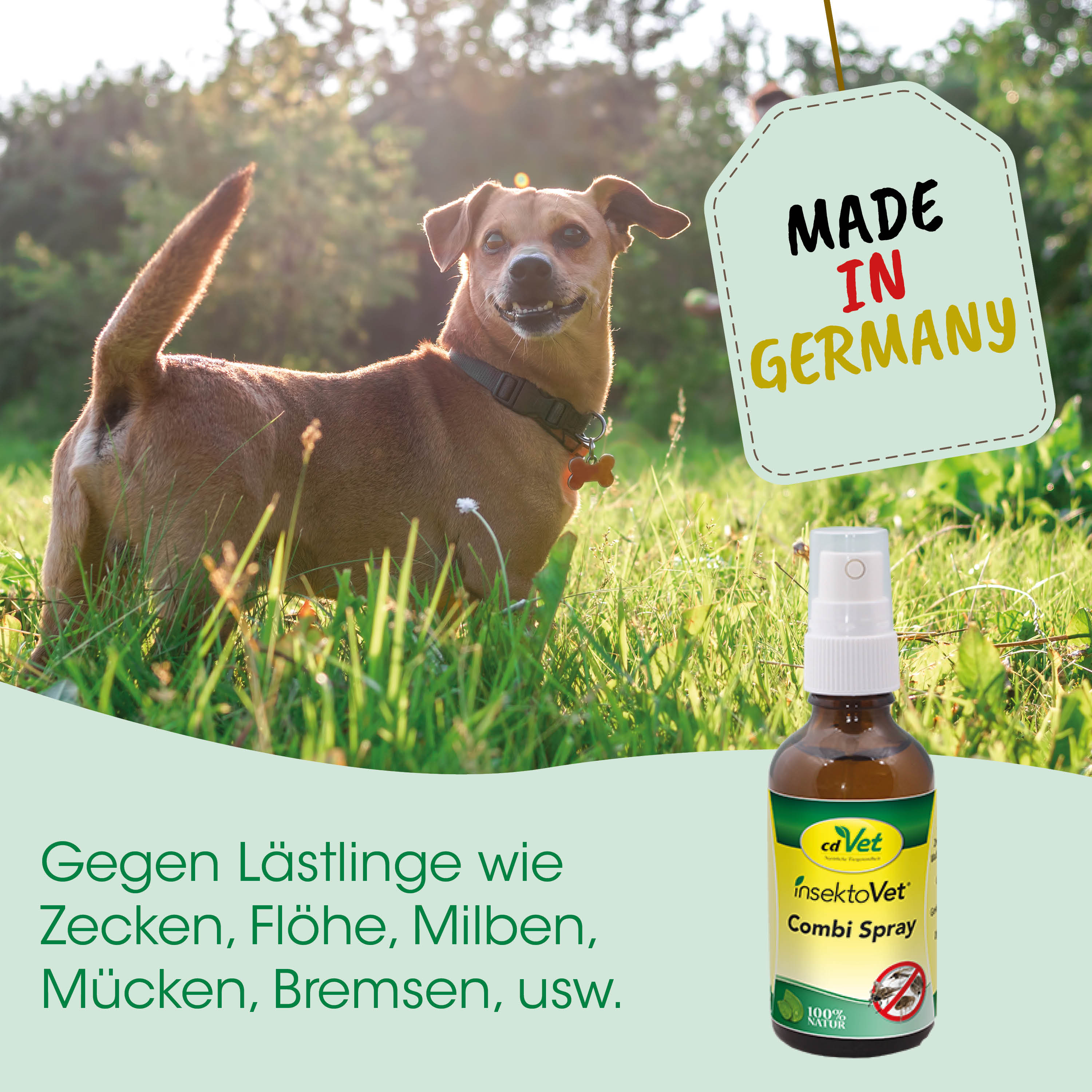 Hund, Hund im Gras, Spray, Insektenschutz, Combi Spray