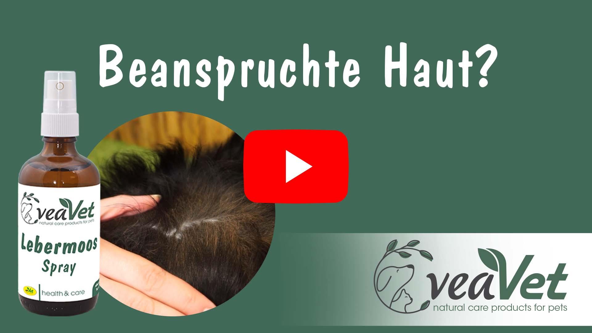 VeaVet Hépatique Spray 100 ml