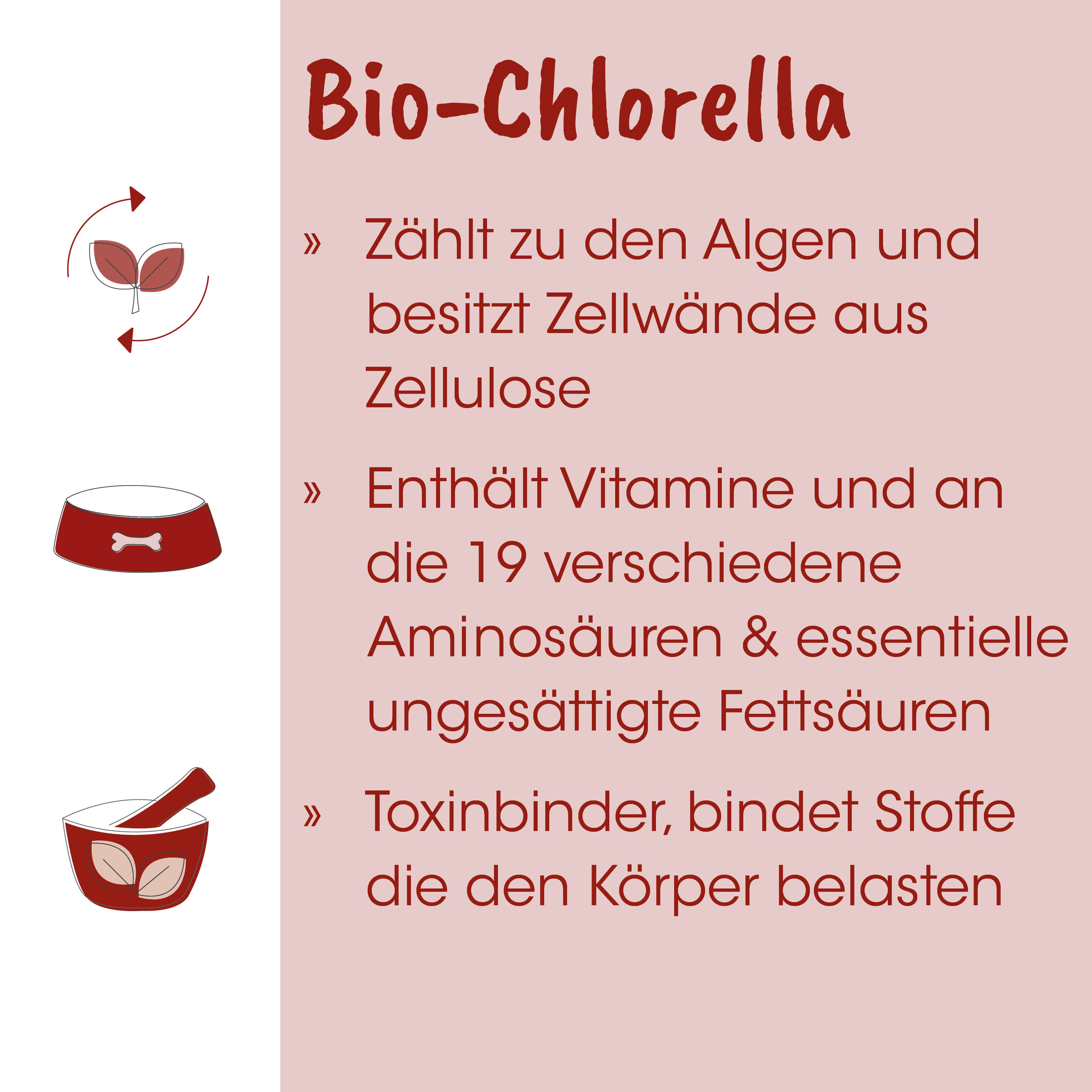 Bio-Chlorella, Algen, Zellulose, Vitamine, Fettstoffe