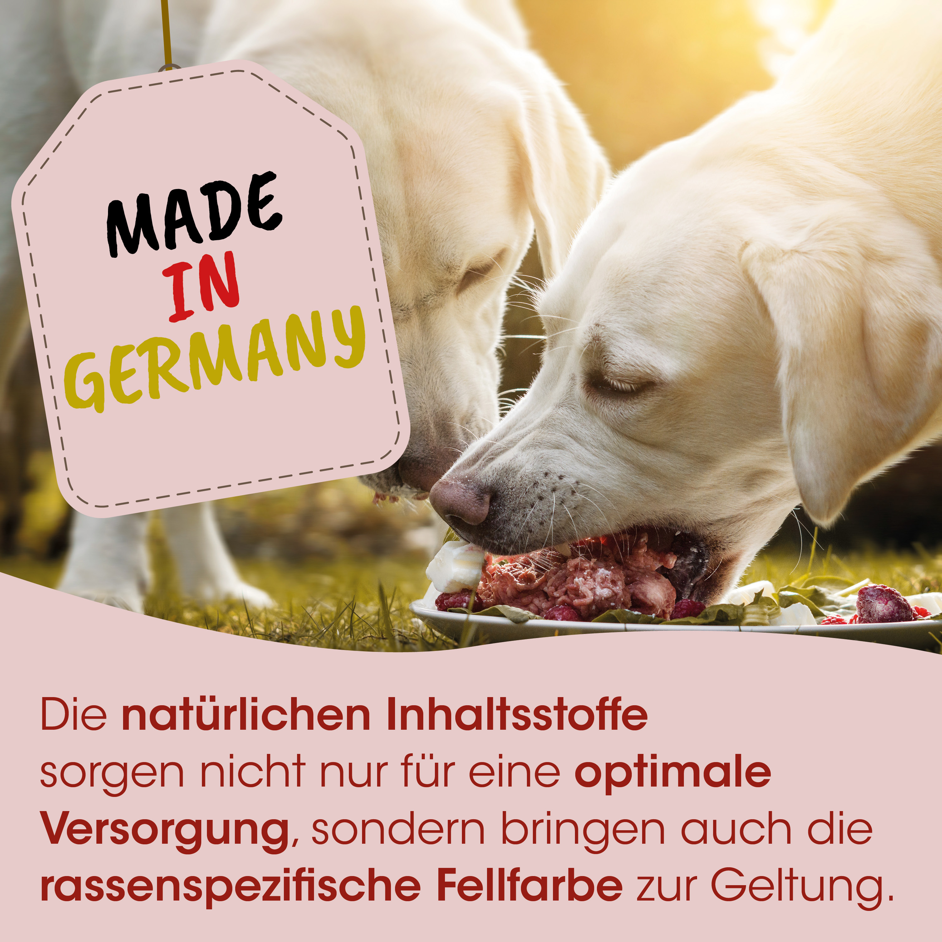 Hundfutter, Hunde-Napf, Fleisch, rohes Fleisch, Made in Germany