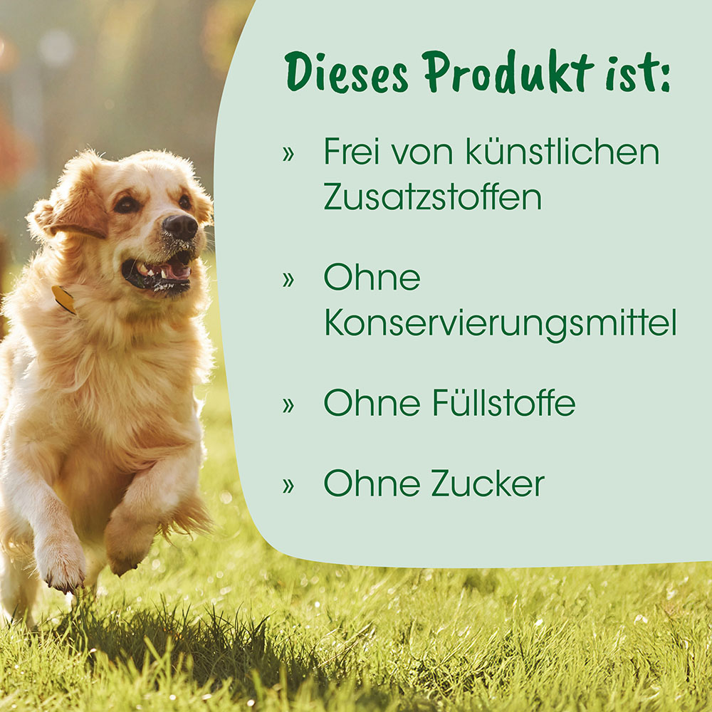 Hund, Golden Retriever-ähnlich, Halsband, Gras, Outdoor