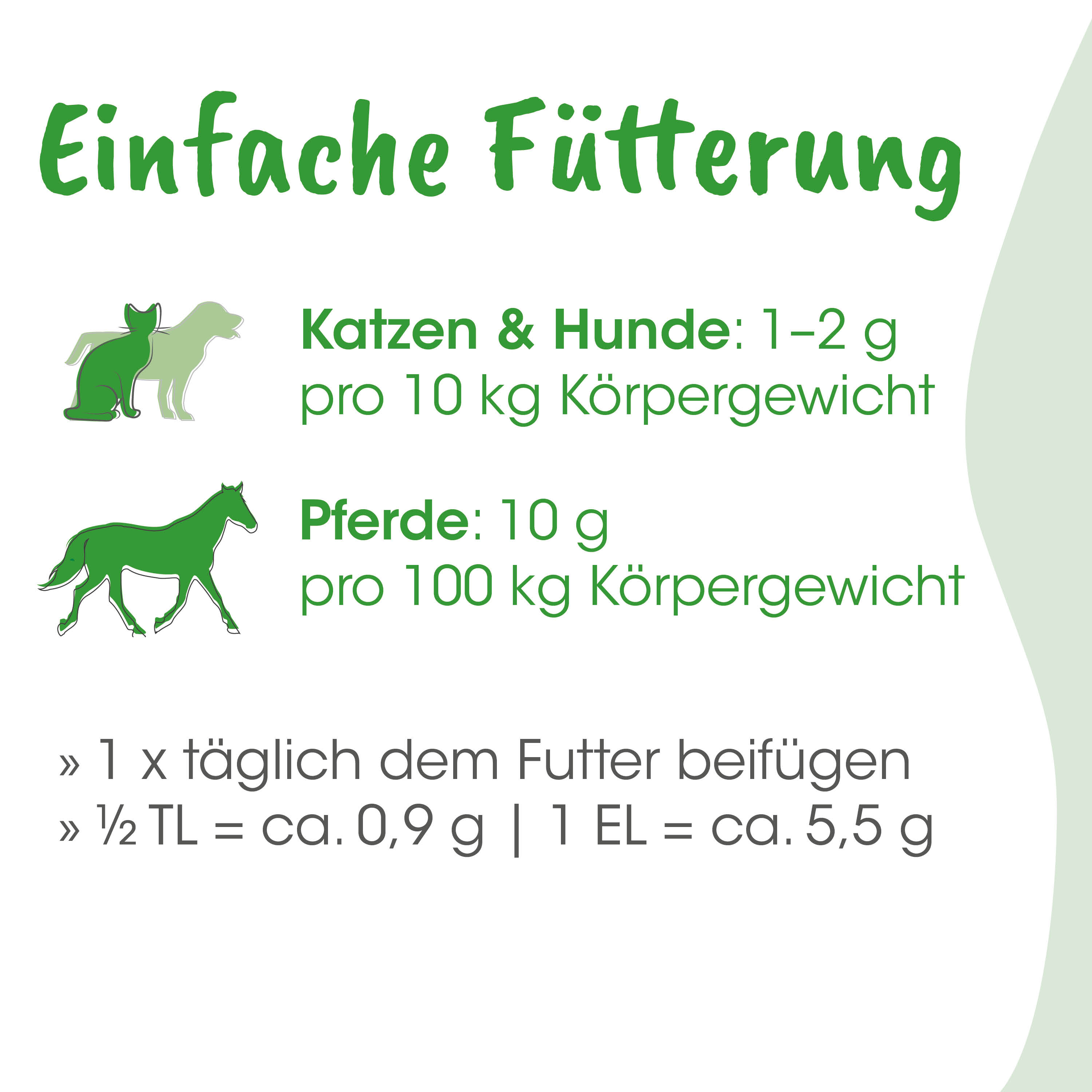 fütterung, katze, hund, pferd, tiere